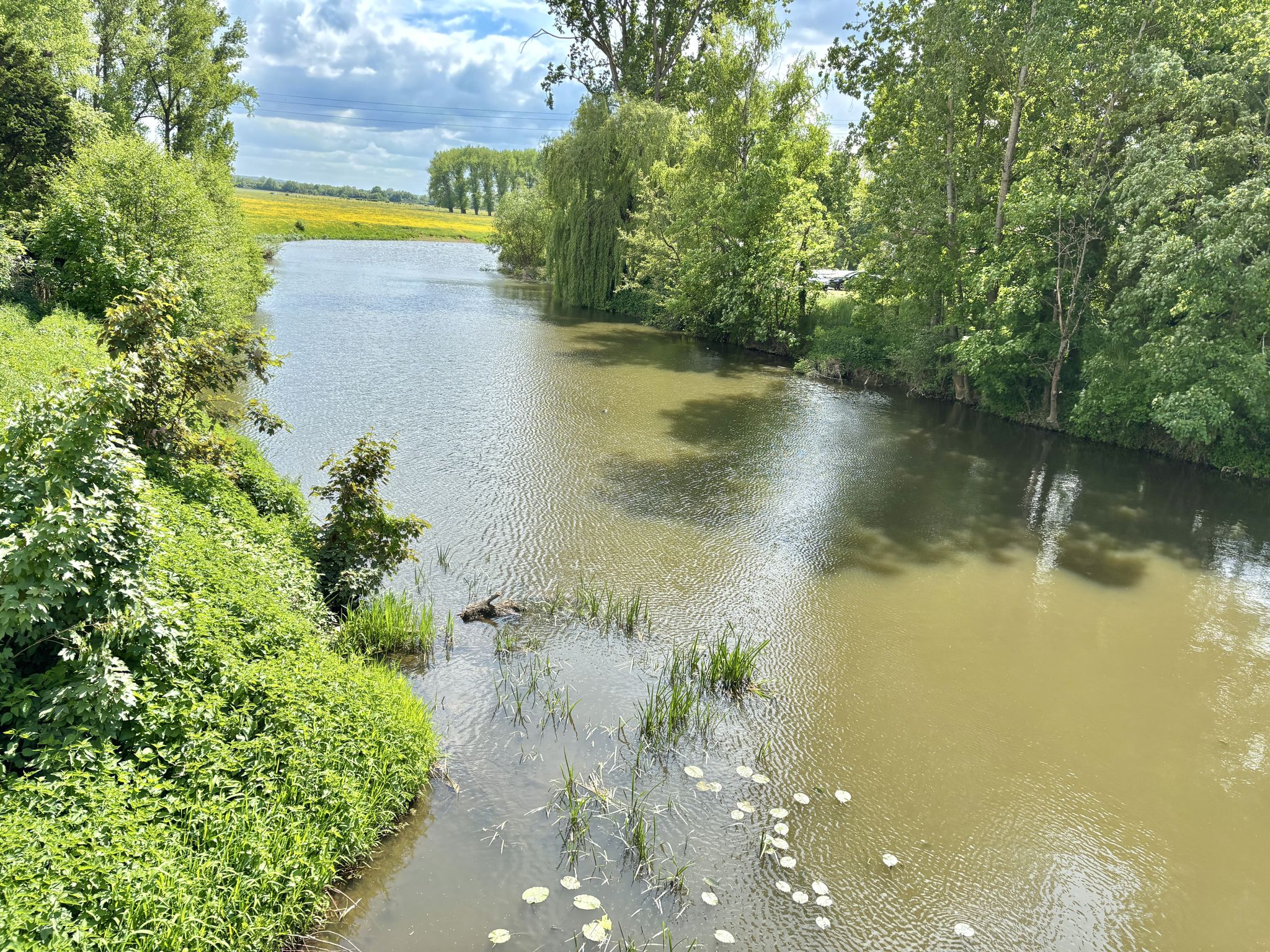 La rivière 'La Sarre' à Sarralbe