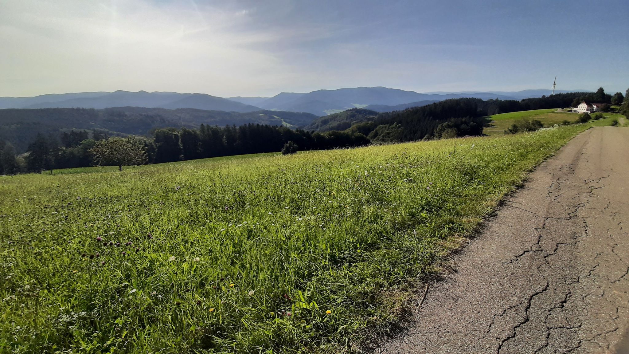 Schwarzenberg