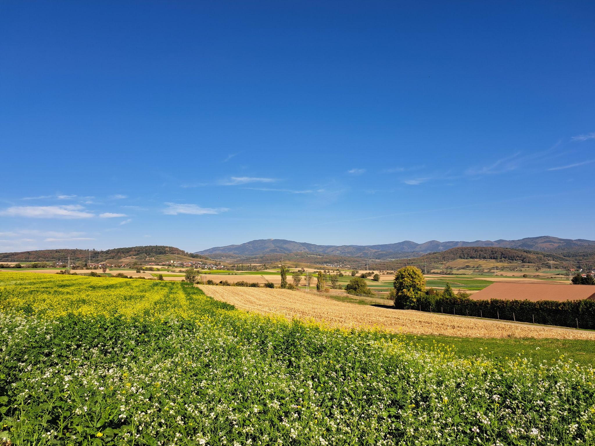 Hochblauen