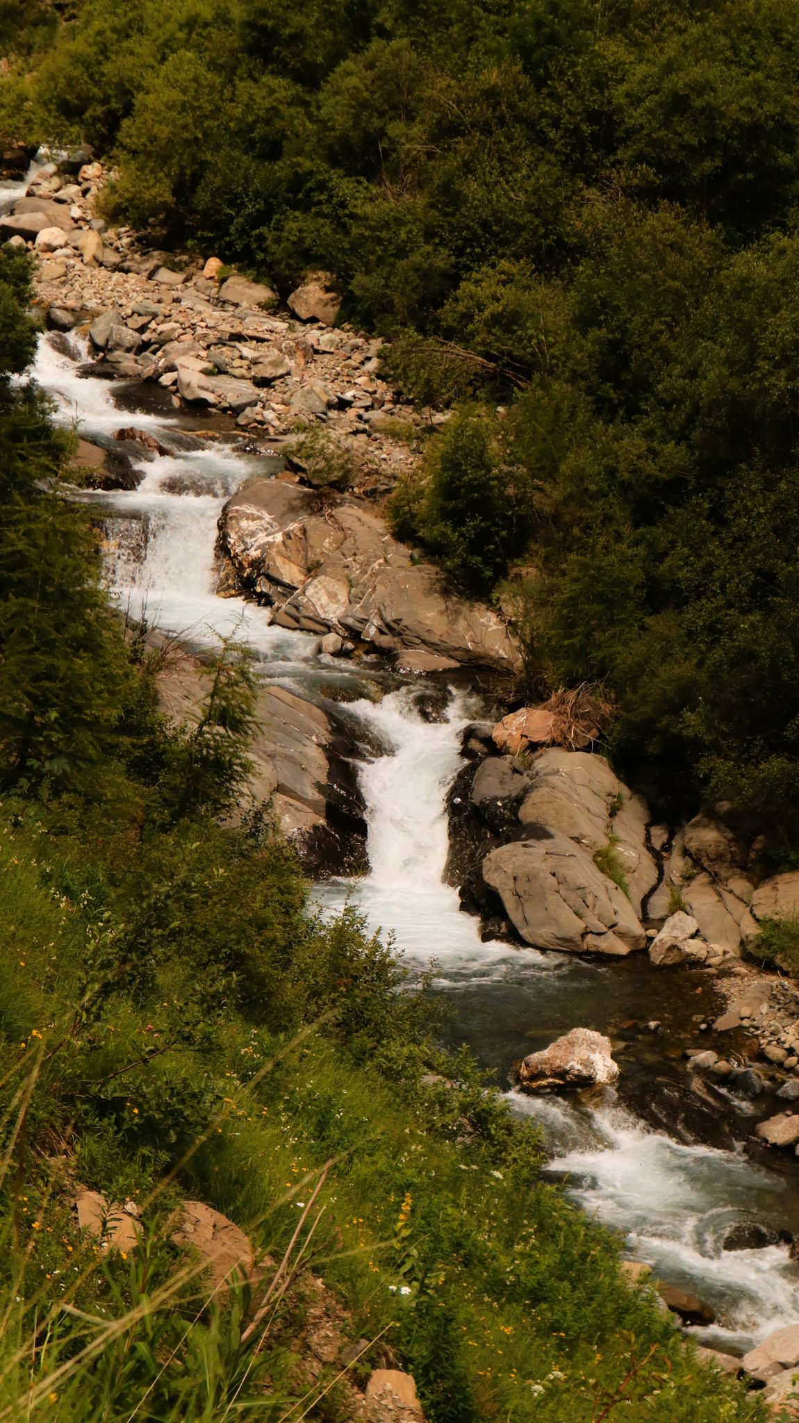 Lively rapids