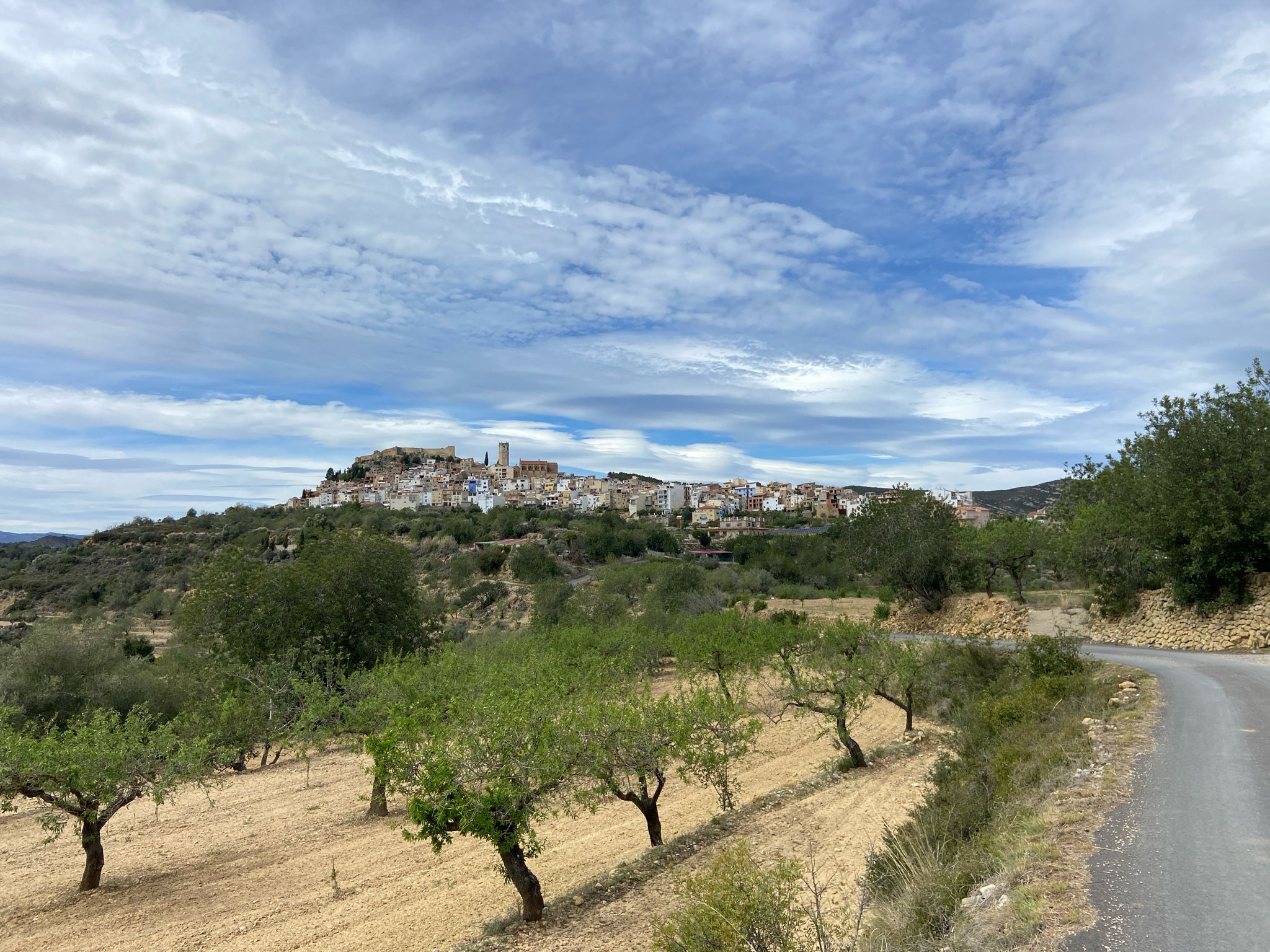 Cervera