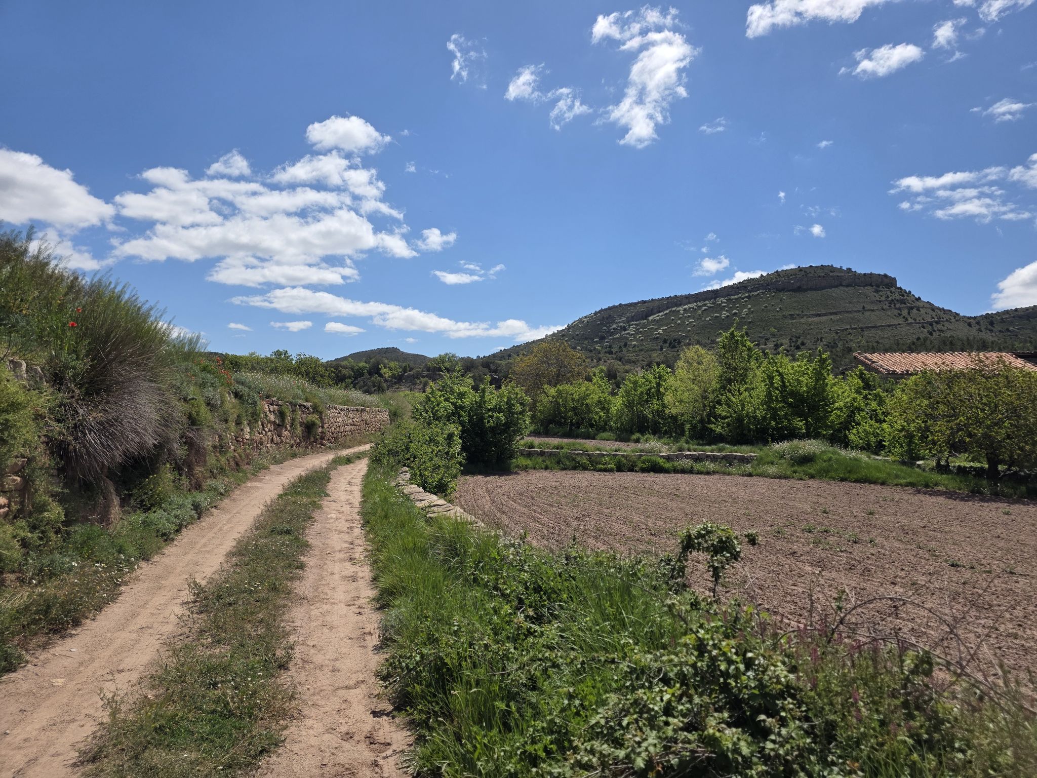 Am Camino del Cid