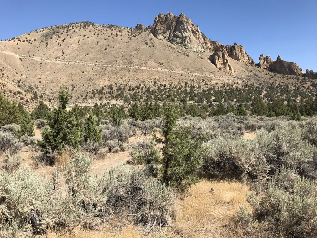 A vast arid landscape with scrub brush and a large rocky mountain. - Sisters to Smith Rock Scenic Bikeway Loop