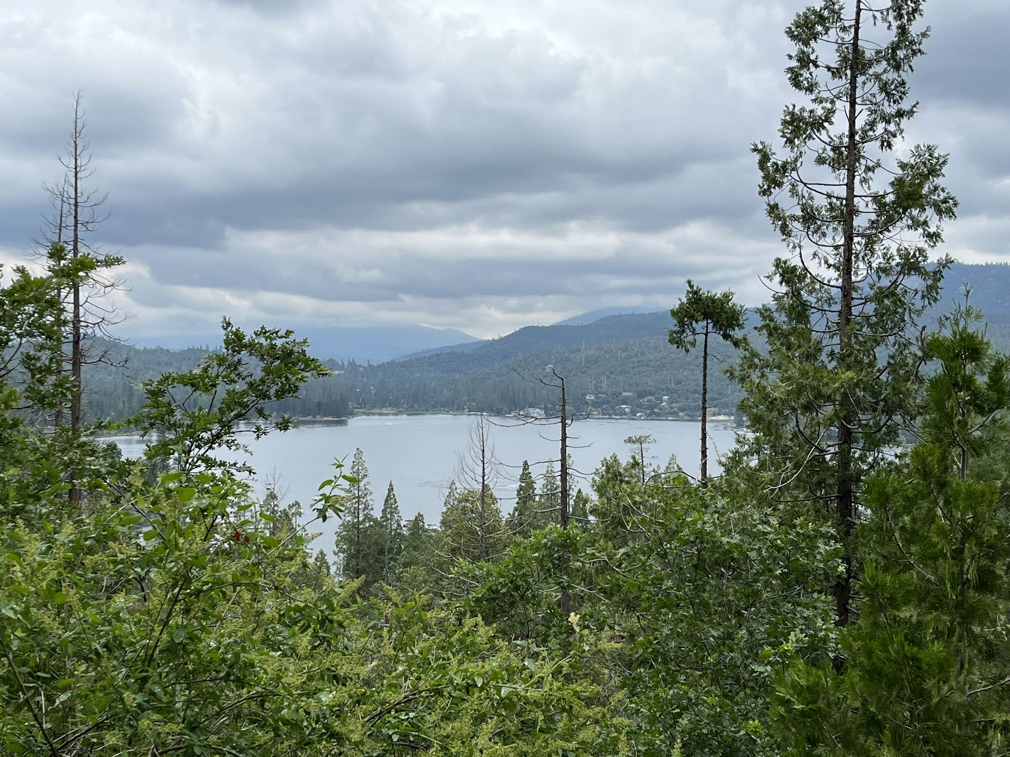 Overcast view of a calm lake nestled among green forested hills. - Goat Mountain Trail