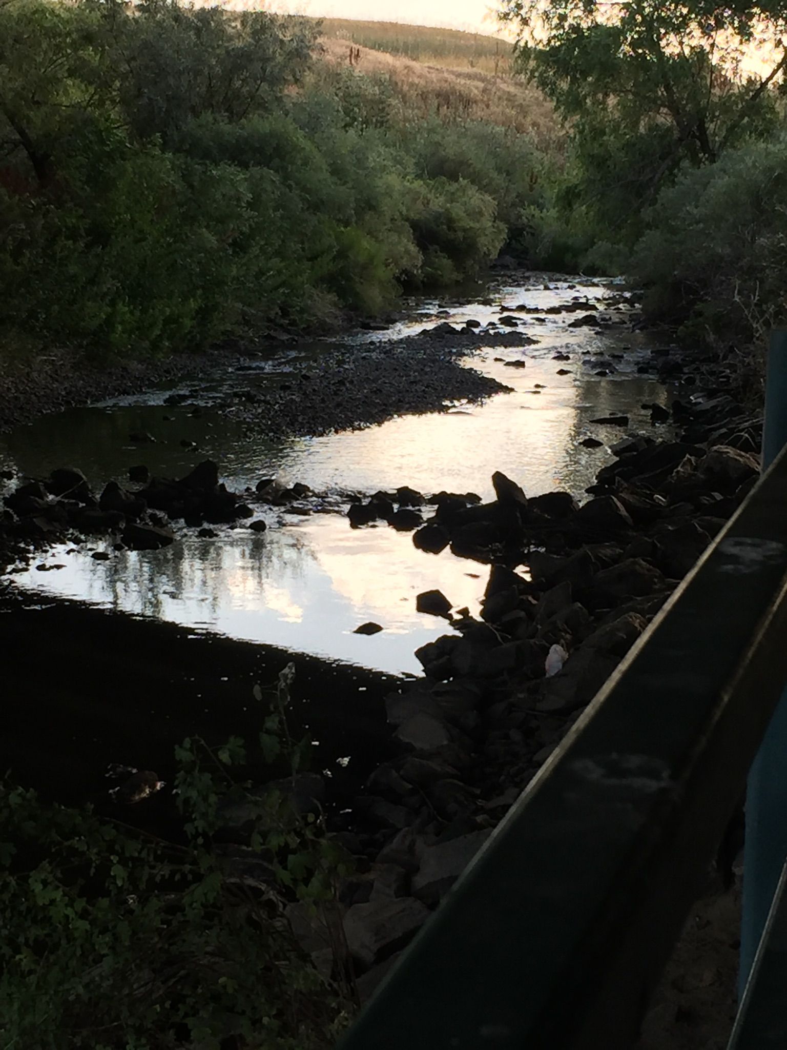 Dark, rocky stream with reflections, surrounded by dense foliage at dusk. - City Park Pond – Big Dry Creek Trail loop from Big Dry Creek Open Space
