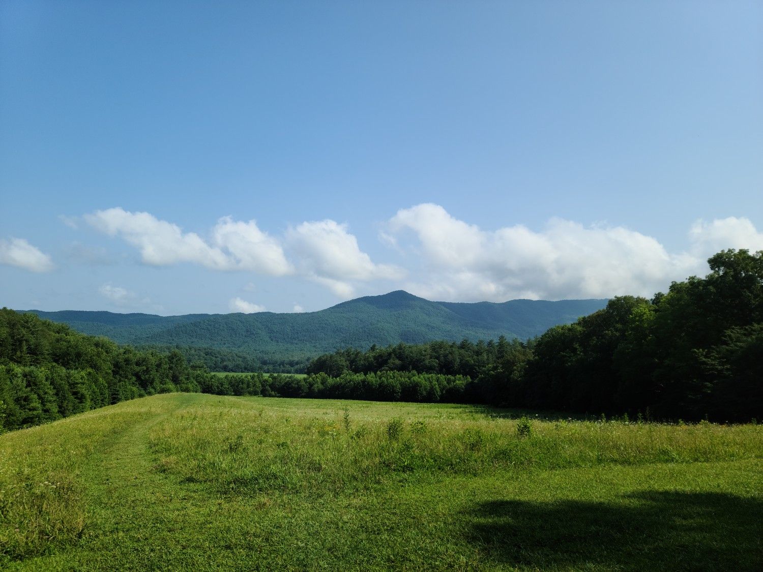 Green field leading to forested hills and distant mountains under a blue sky. - Cades Cove Loop Road – Beautiful view of the Valley loop from Rich Mountain Gap