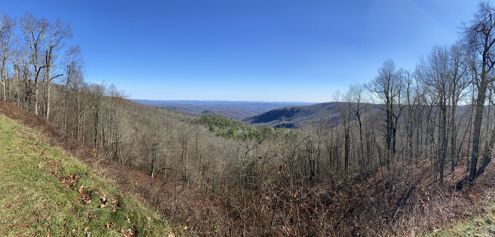Panoramic view of a vast mountain range with bare trees under a clear sky. - Cold Prong Pond to Lost Cove Cliffs Overlook