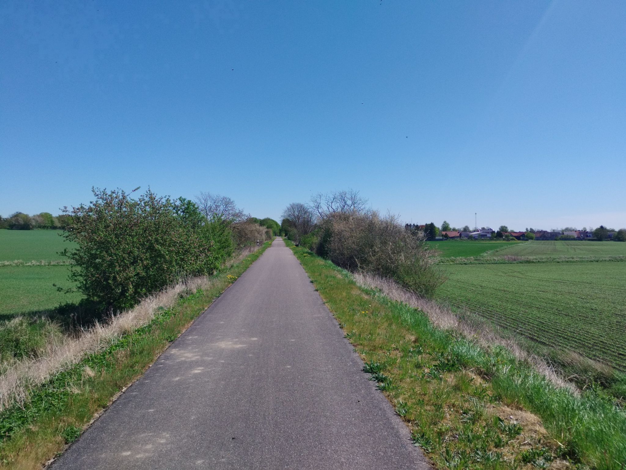 schöner Bahntrassenradweg 
