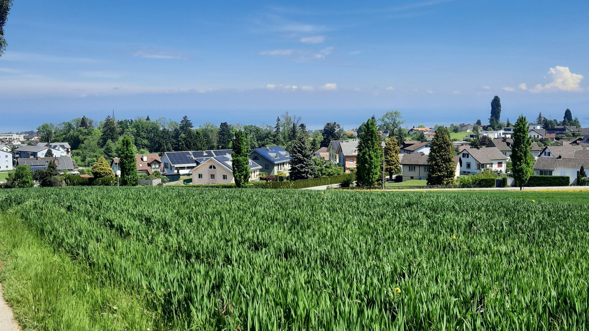 Blick auf Mörschwil
