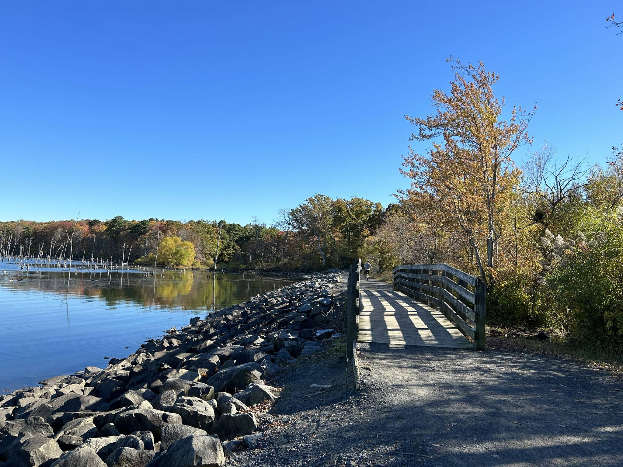 Sunny view of a wooden bridge next to a rocky shore and calm water. - Manasquan Reservoir loop