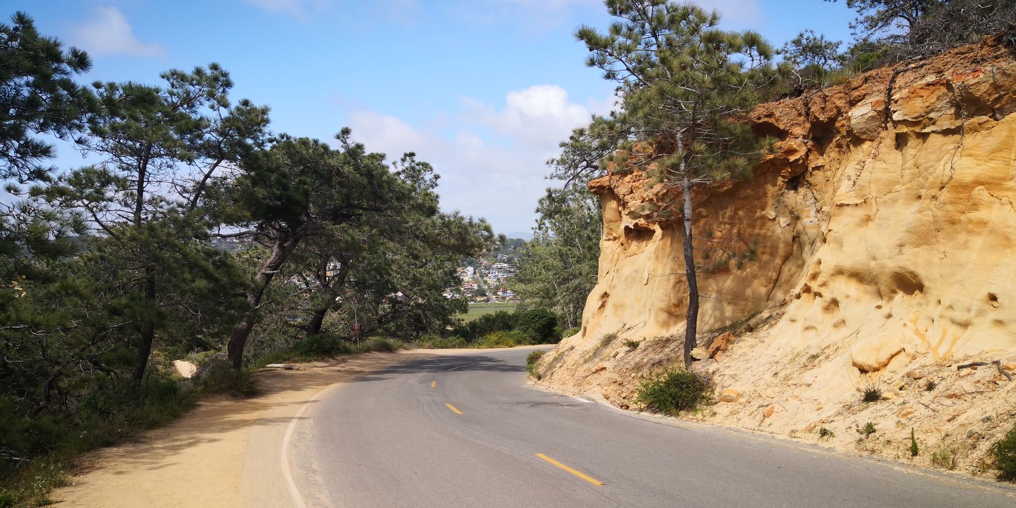Winding road next to a tall, sandy cliff and green trees. - Seagrove Park – San Diegito River Estuary loop from Cardiff State Beach