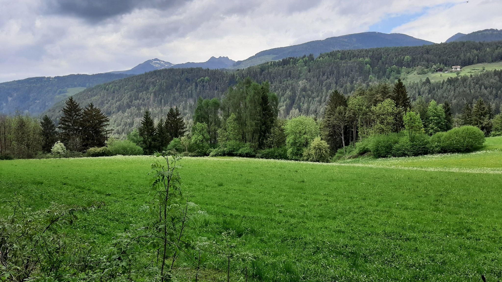 Auf dem Römerweg bei Kiens