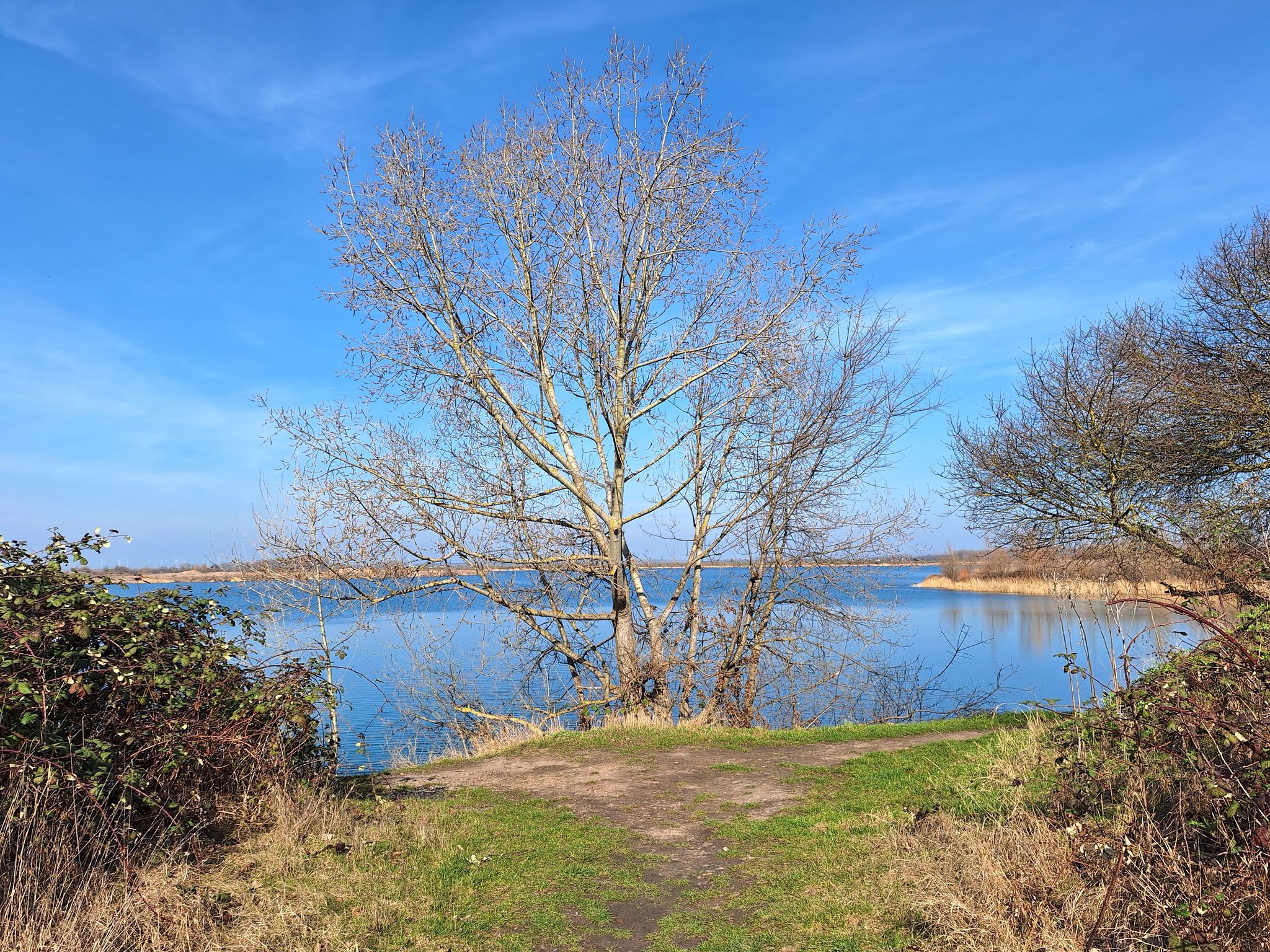 Klingesee