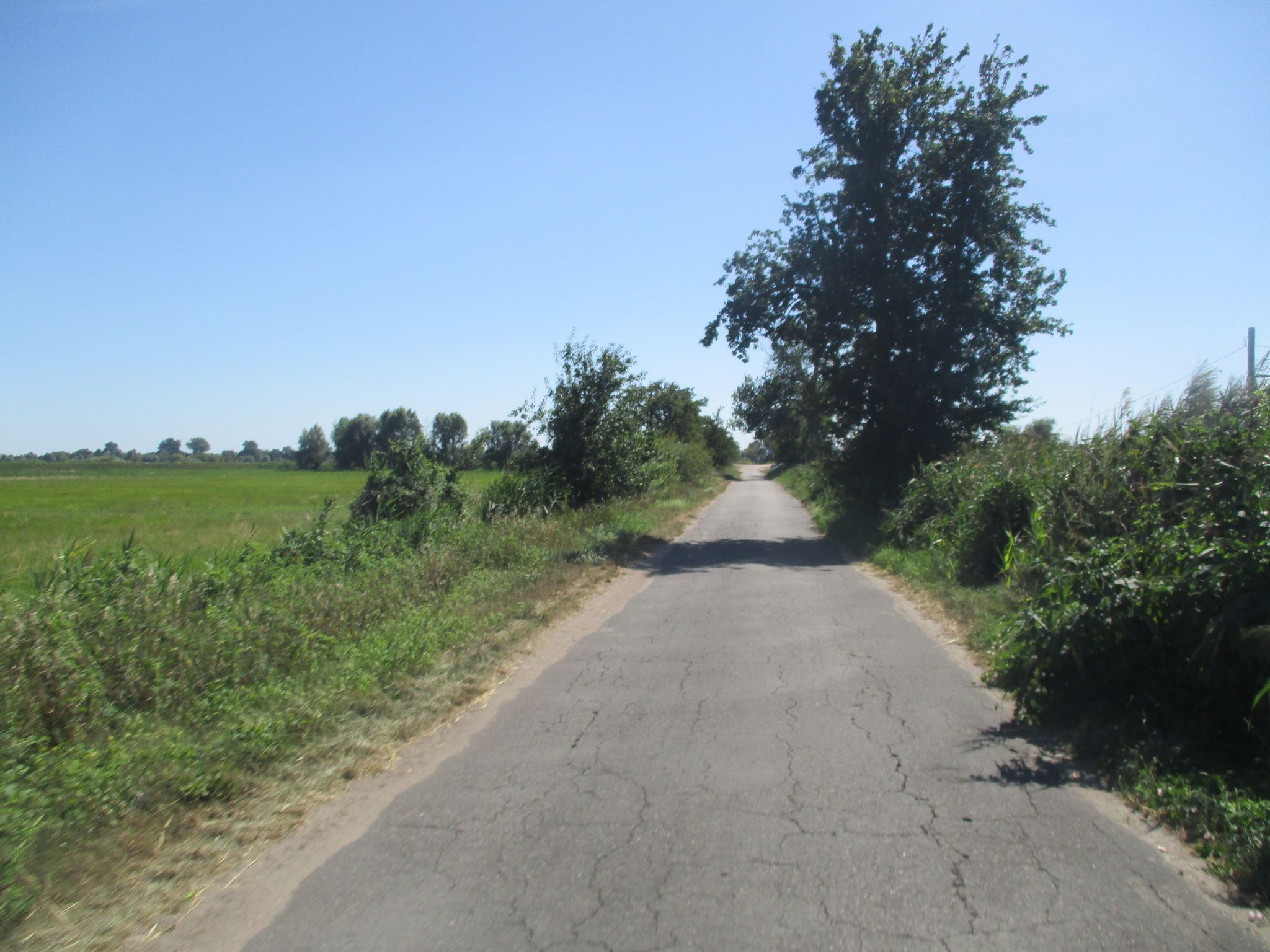 zurück nach Witnica