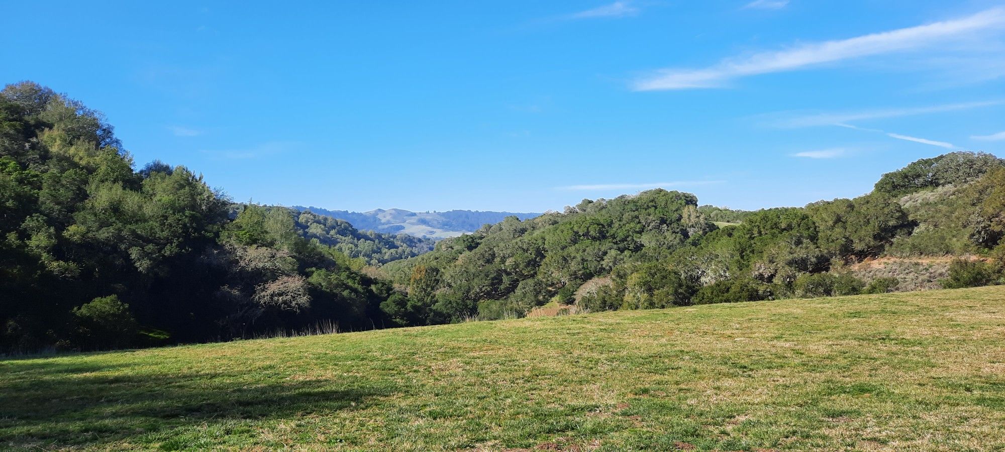 Wide green grassy field with distant forested hills under a bright blue sky. - Boronda Lake Loop via the Chamise Trail