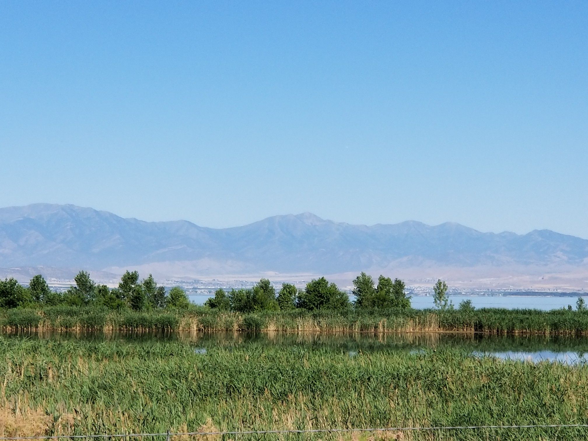 Bright wetland with green reeds, trees, a lake, and hazy mountains. - Murdock Canal and Provo River Parkway Loop