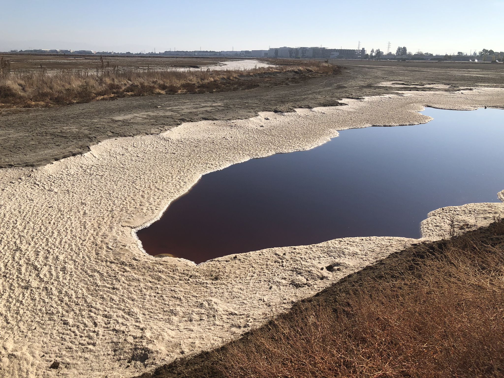 Dark red water surrounded by white mineral deposits in a flat, barren landscape. - Bedwell Bayfront Park loop from Salt Evaporators