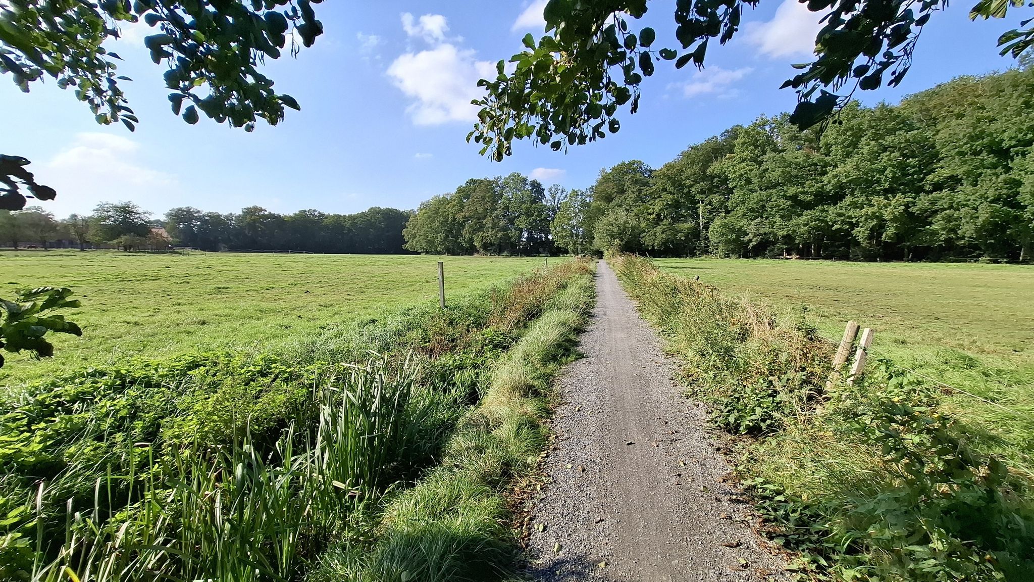 Tecklenburger Fußweg 😍