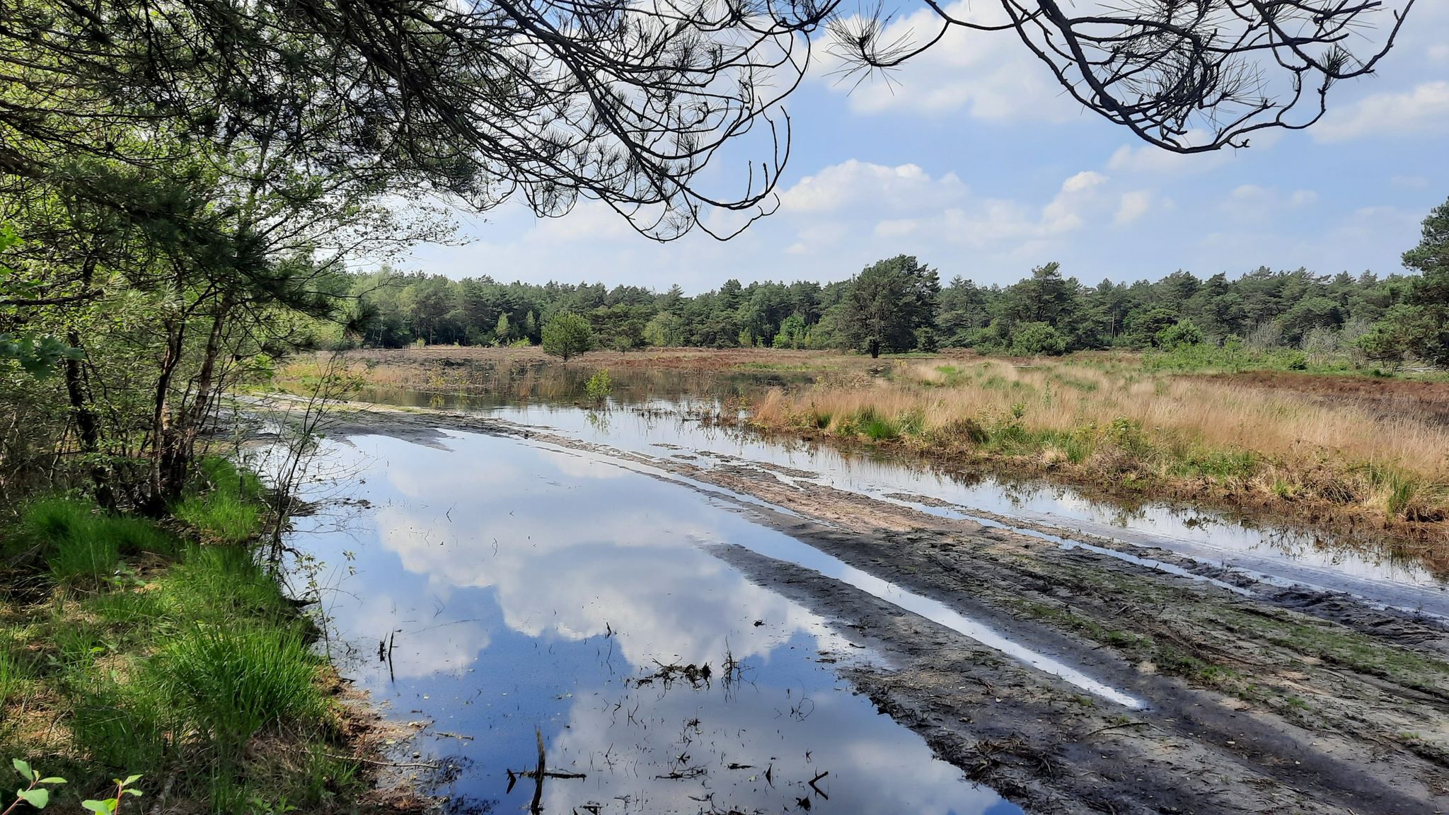 Hoppa: ook hier moesten we omkeren