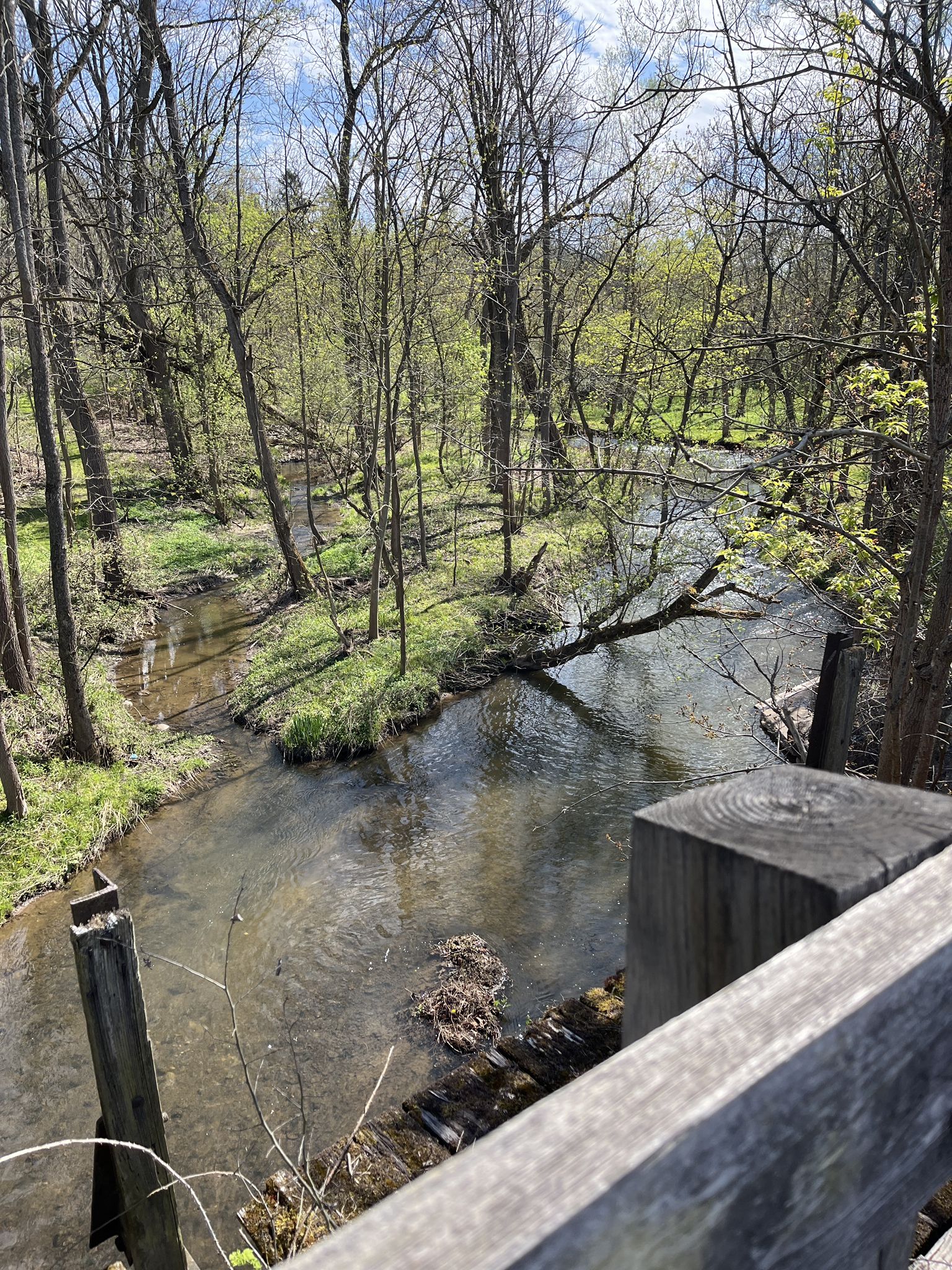 Winding stream through a lush forest with dappled sunlight, viewed from a wooden bridge. - Auburn and Lehigh Valley Trails Loop