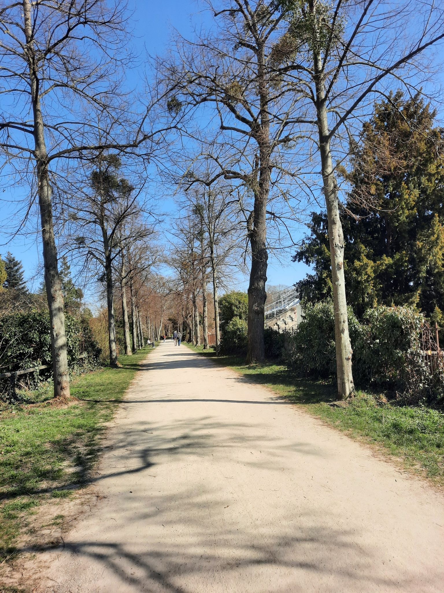 auf dem Wall - Grüngürtel um die Altstadt