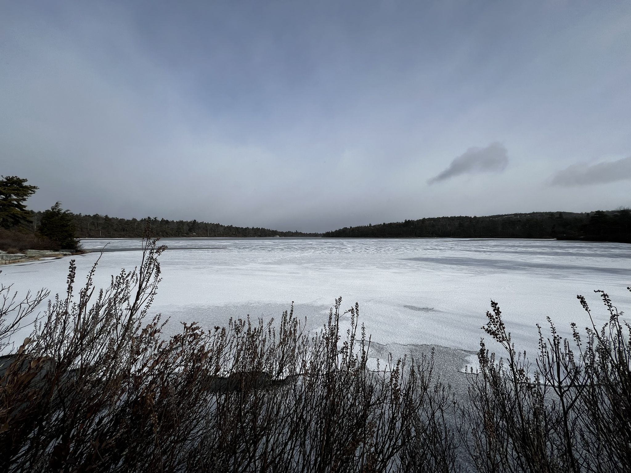 Vast frozen lake with snow and dark trees under a gray, overcast winter sky. - Lake Minnewaska and Lake Awosting Loop