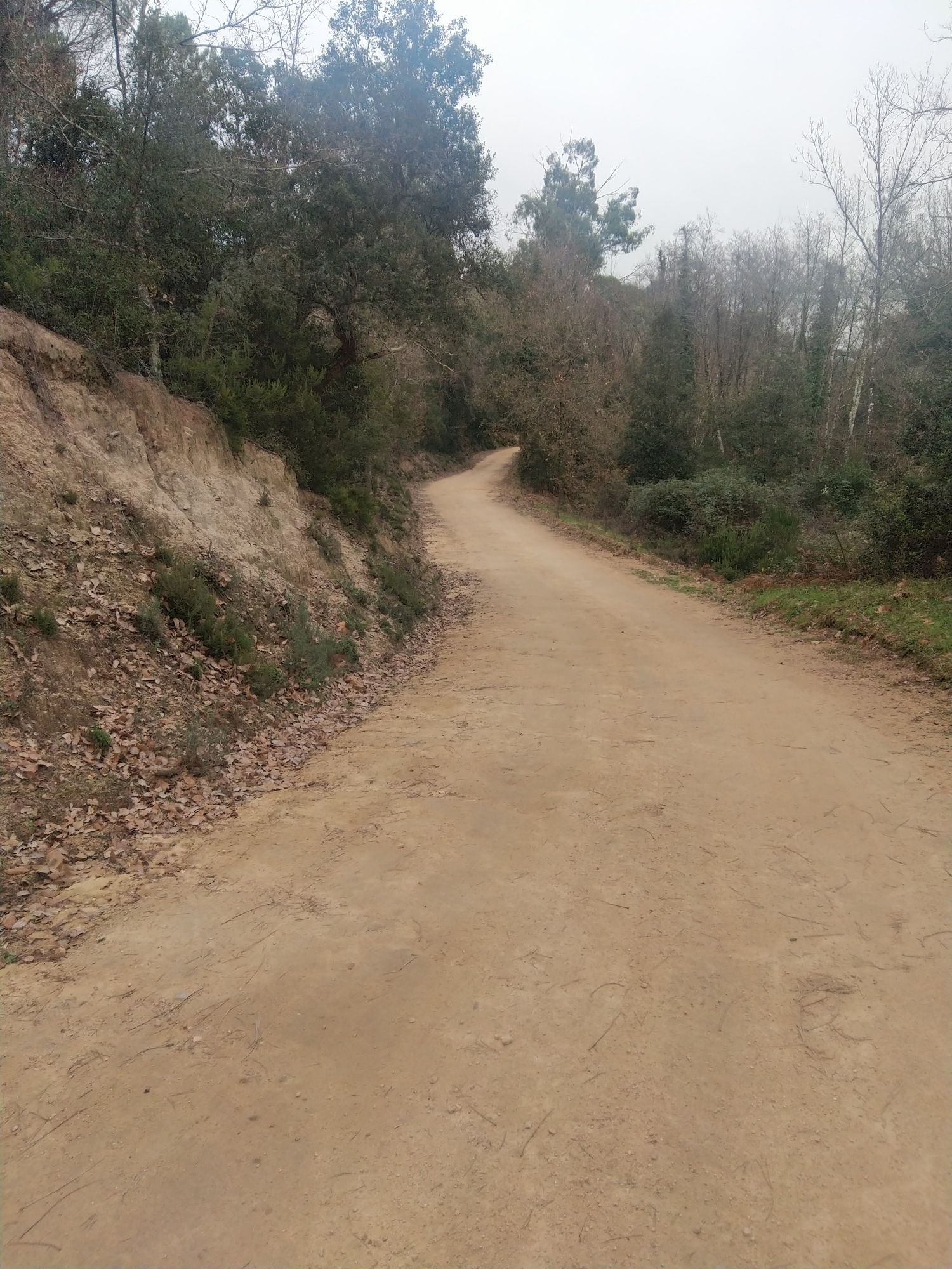 pista ancha