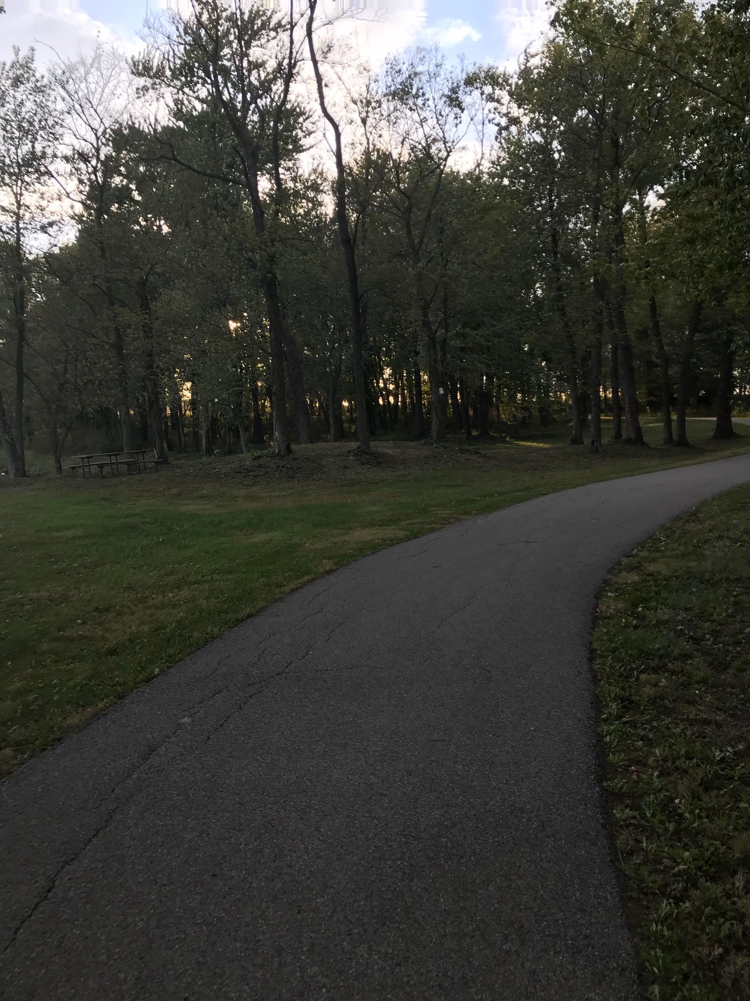 A winding paved path through a dense forest with dappled sunlight. - Heritage Trail