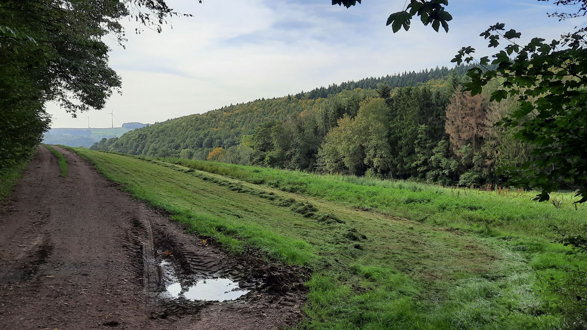 Ausblick zum Großen Elmersberg bei Eppelborn