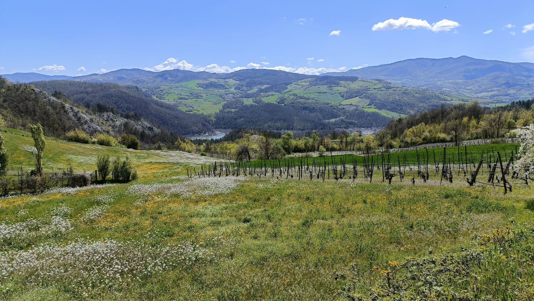 Ruino: vista sulla diga del Molato