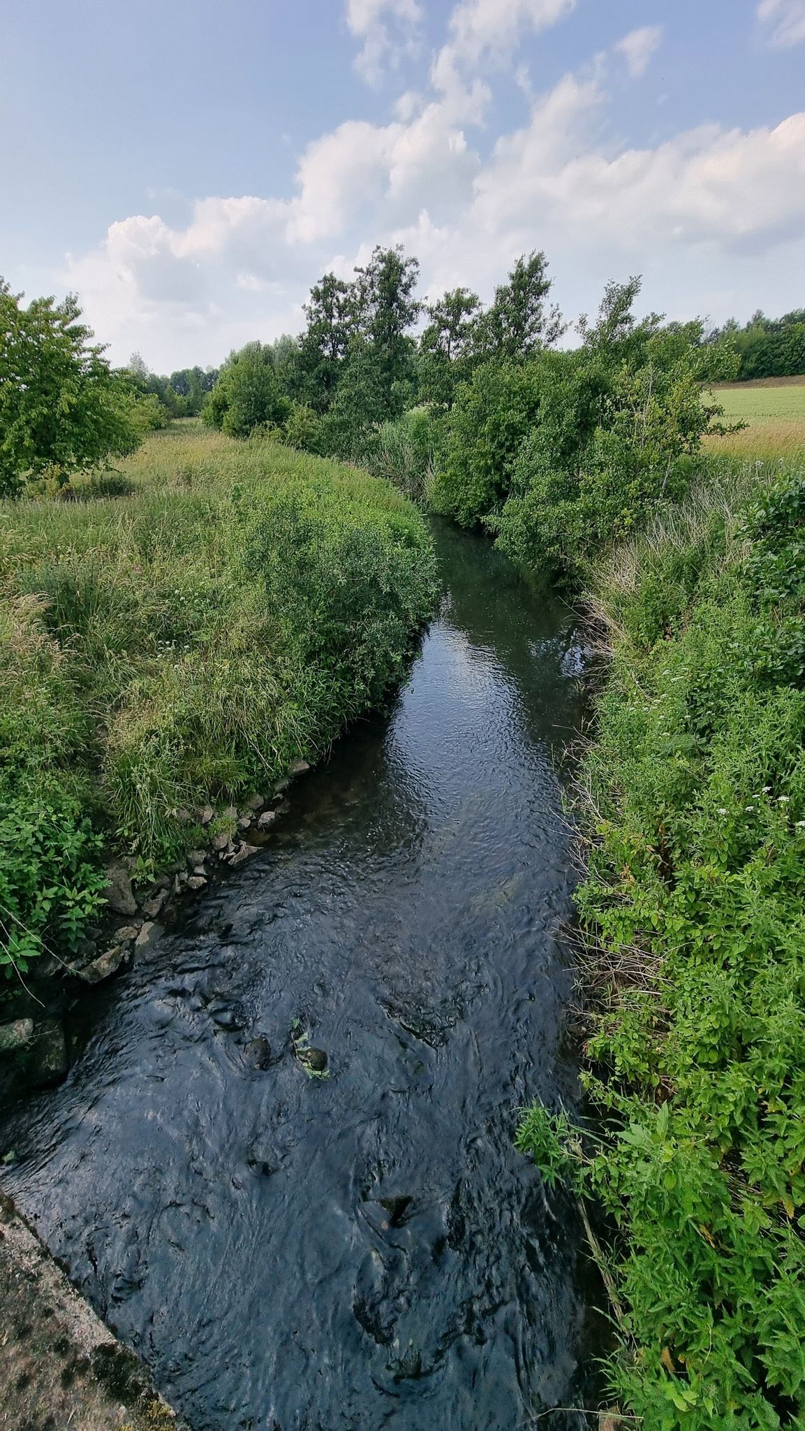 Südaue