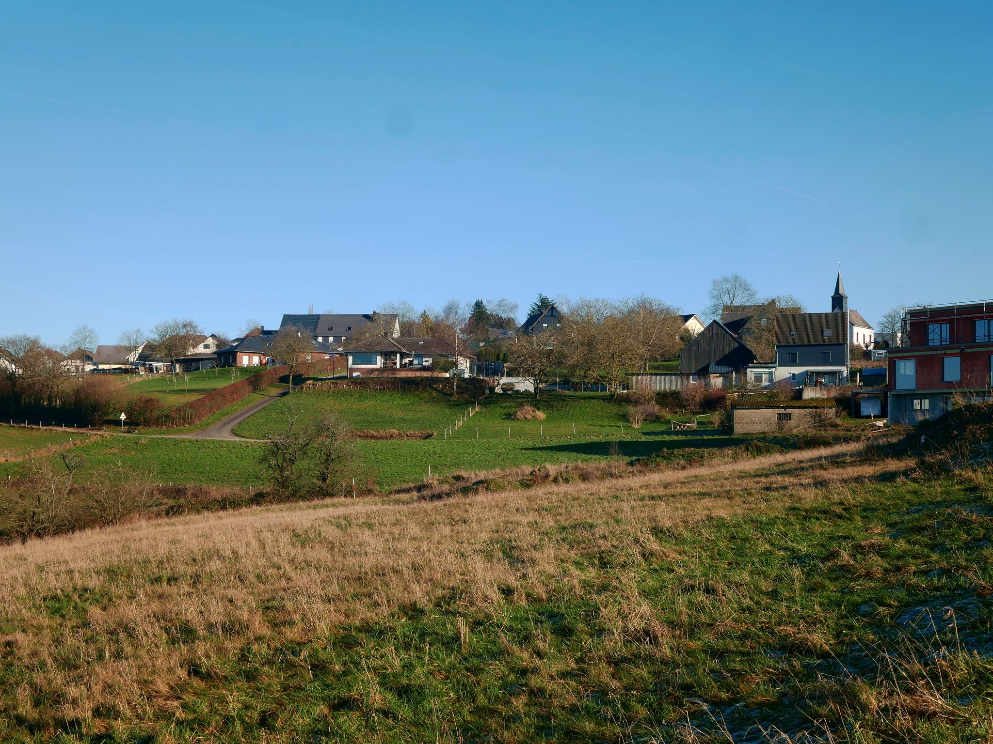 Haserich