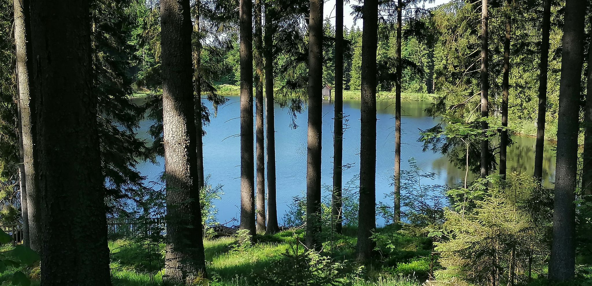Klausteich