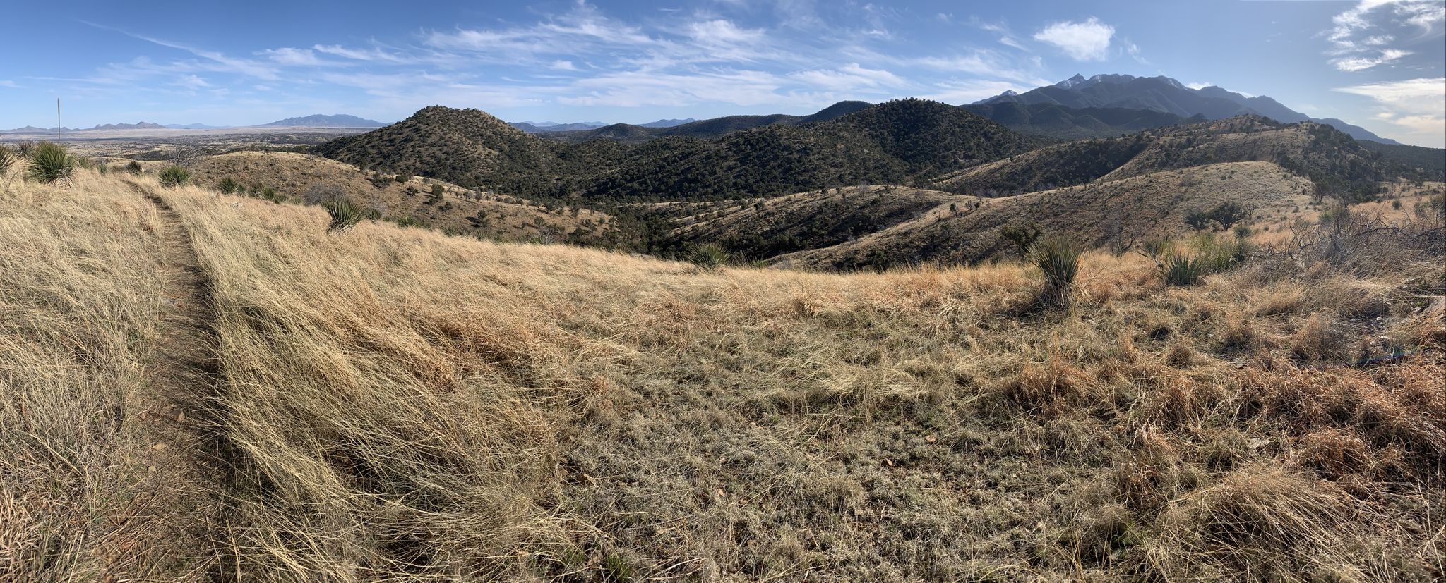 Panoramic view of dry grassy hills and distant mountains under a blue sky. - Enzensberg Canyon – Stetson's Dam loop from Santa Rita Abbey