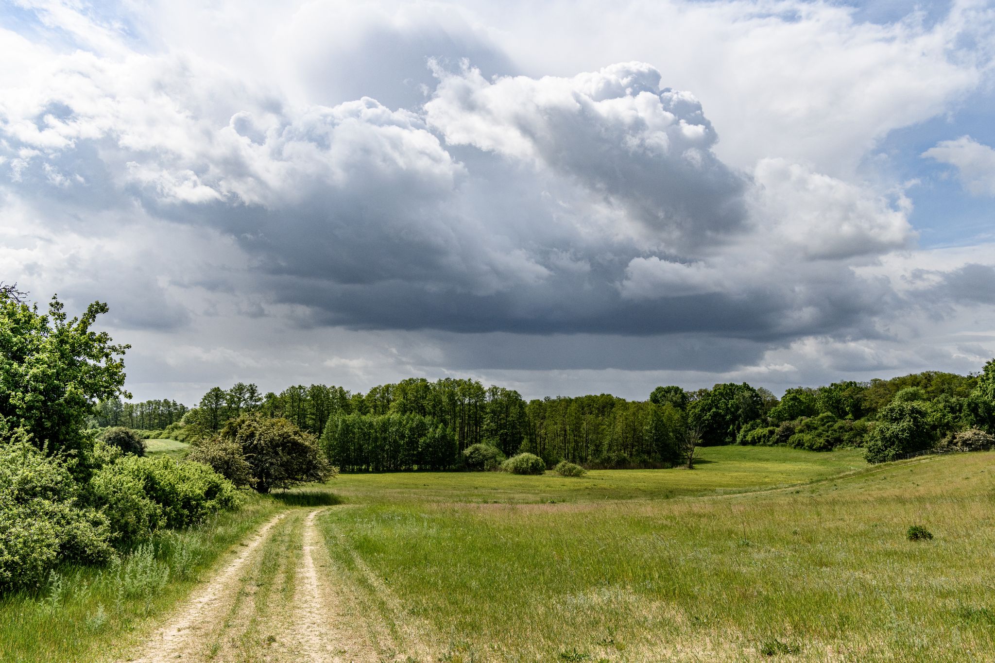Blick auf das Naturschutzgebiet Ruhlsdorfer Bruch