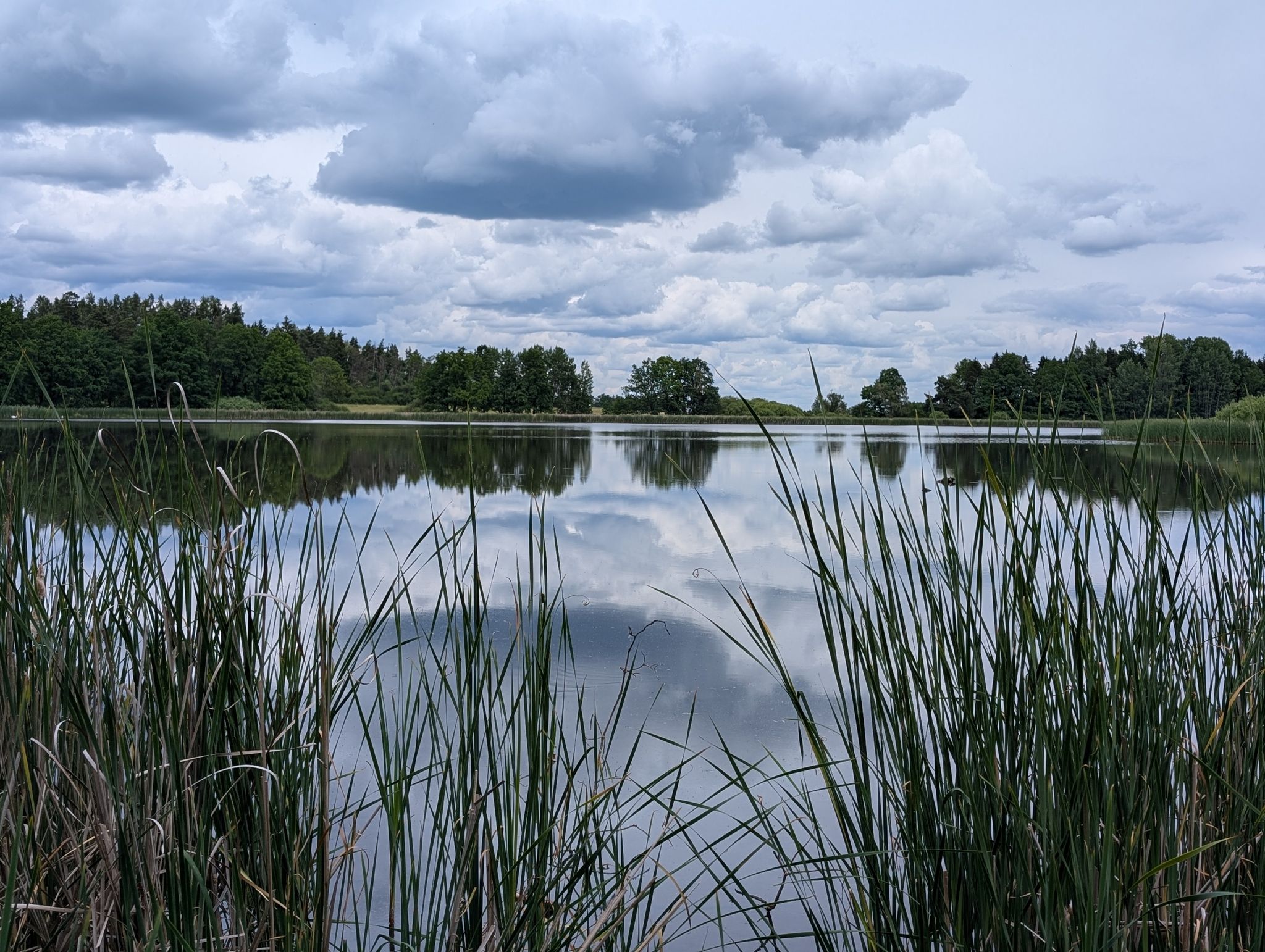Burgteich-Idyll