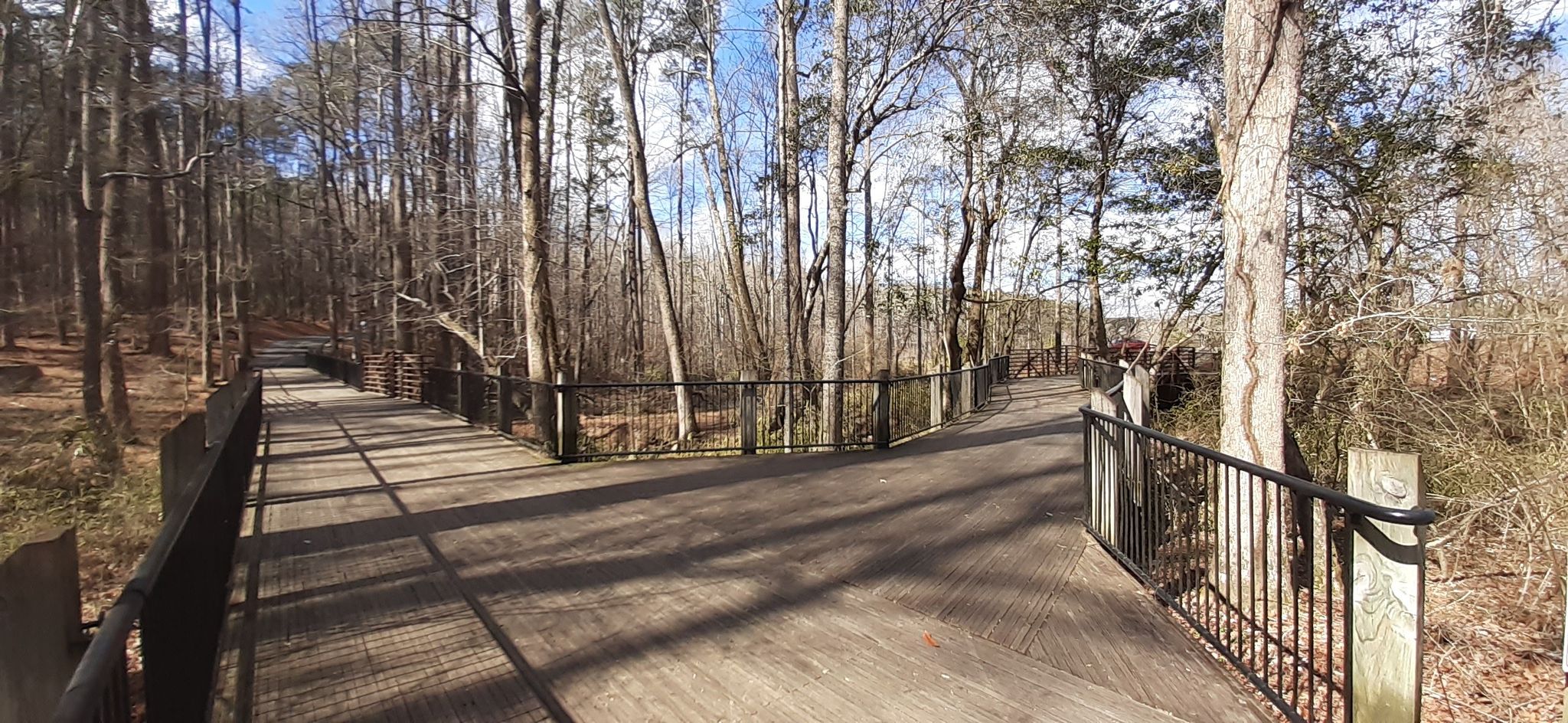 Wooden boardwalk with railings winding through a forest with bare trees. - Tribble Mill Park loop from Chandler Lake