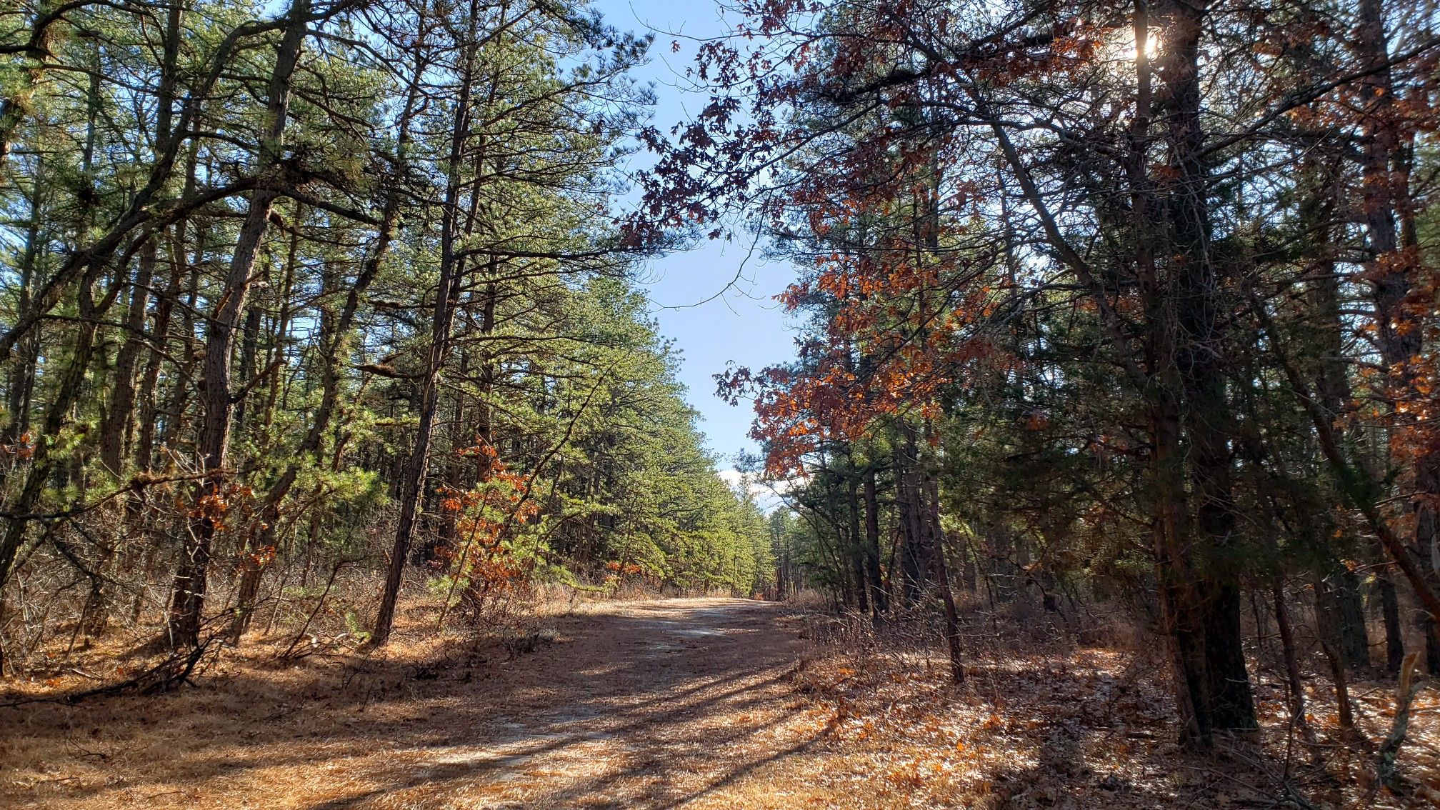 Beautiful Cranberry Bog Preserve!
