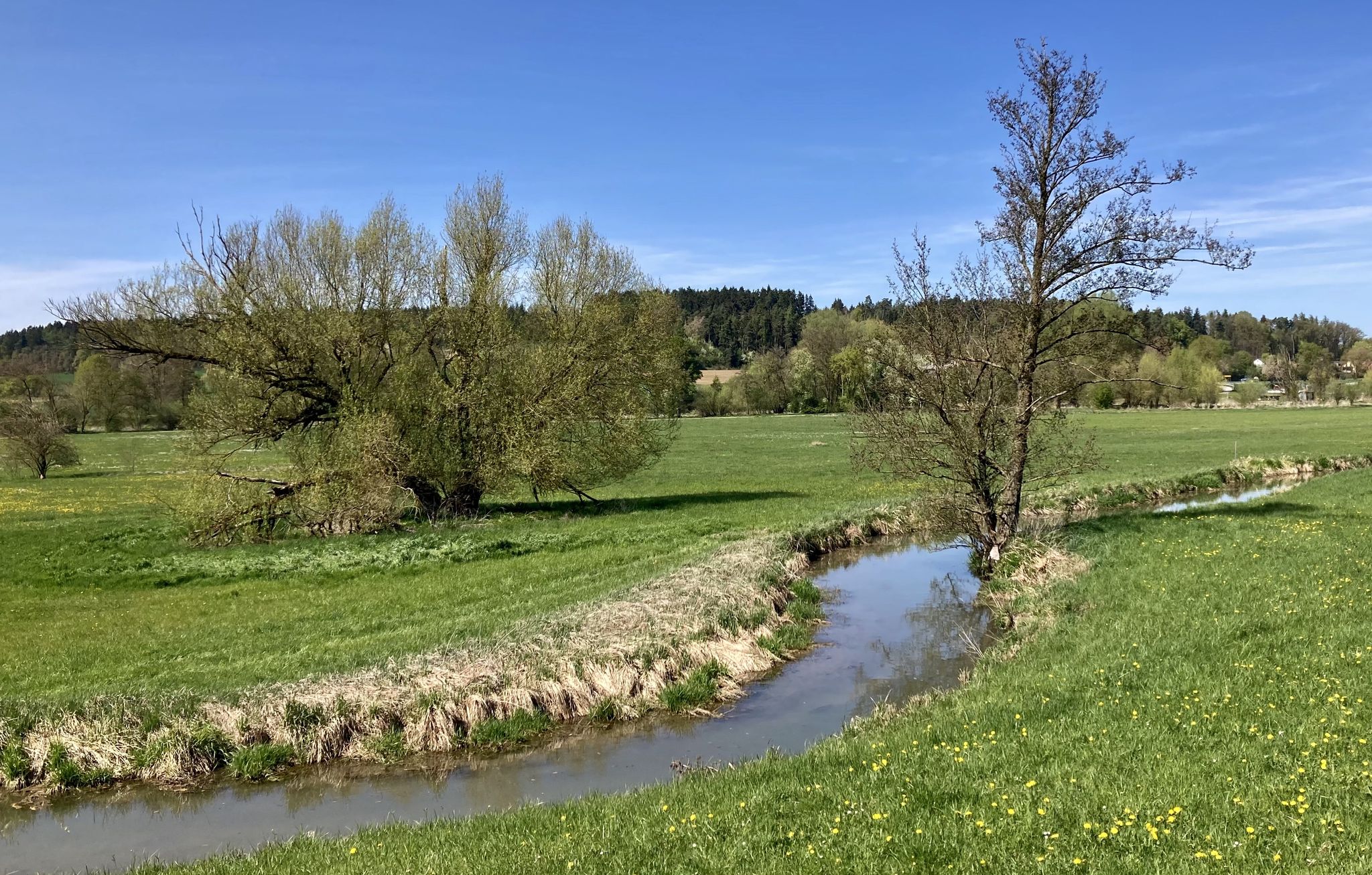 km 57 – mäandernde Große Laber