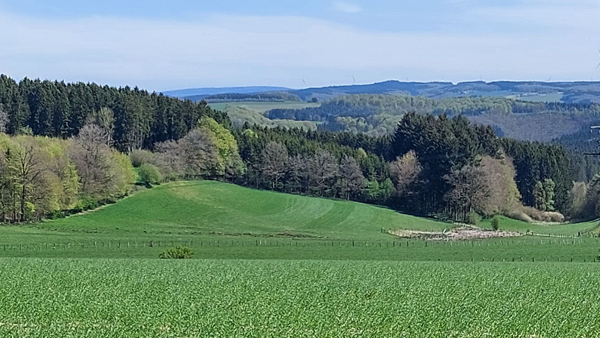 Landschaft bei Weiswampach