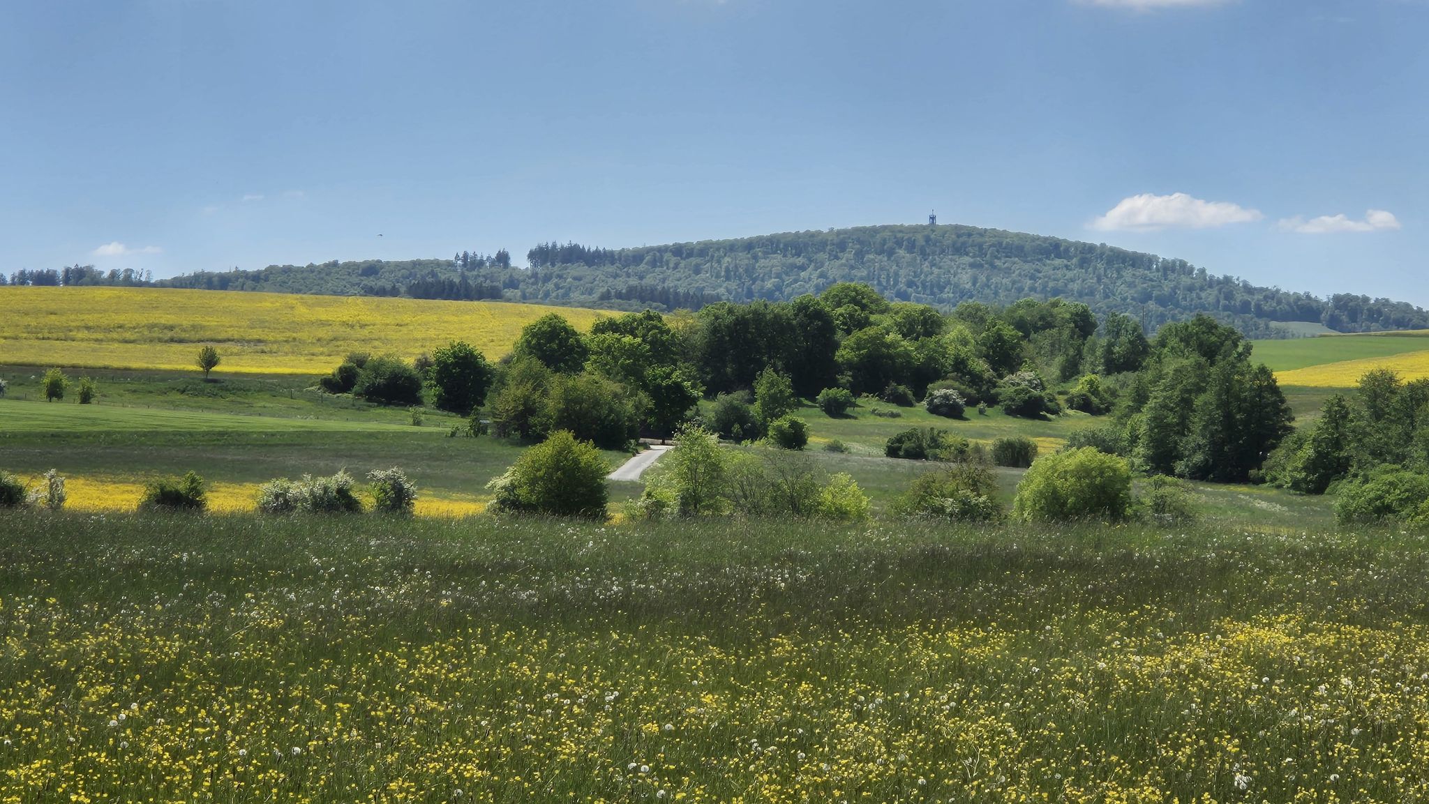 Blick zum Pferdskopf