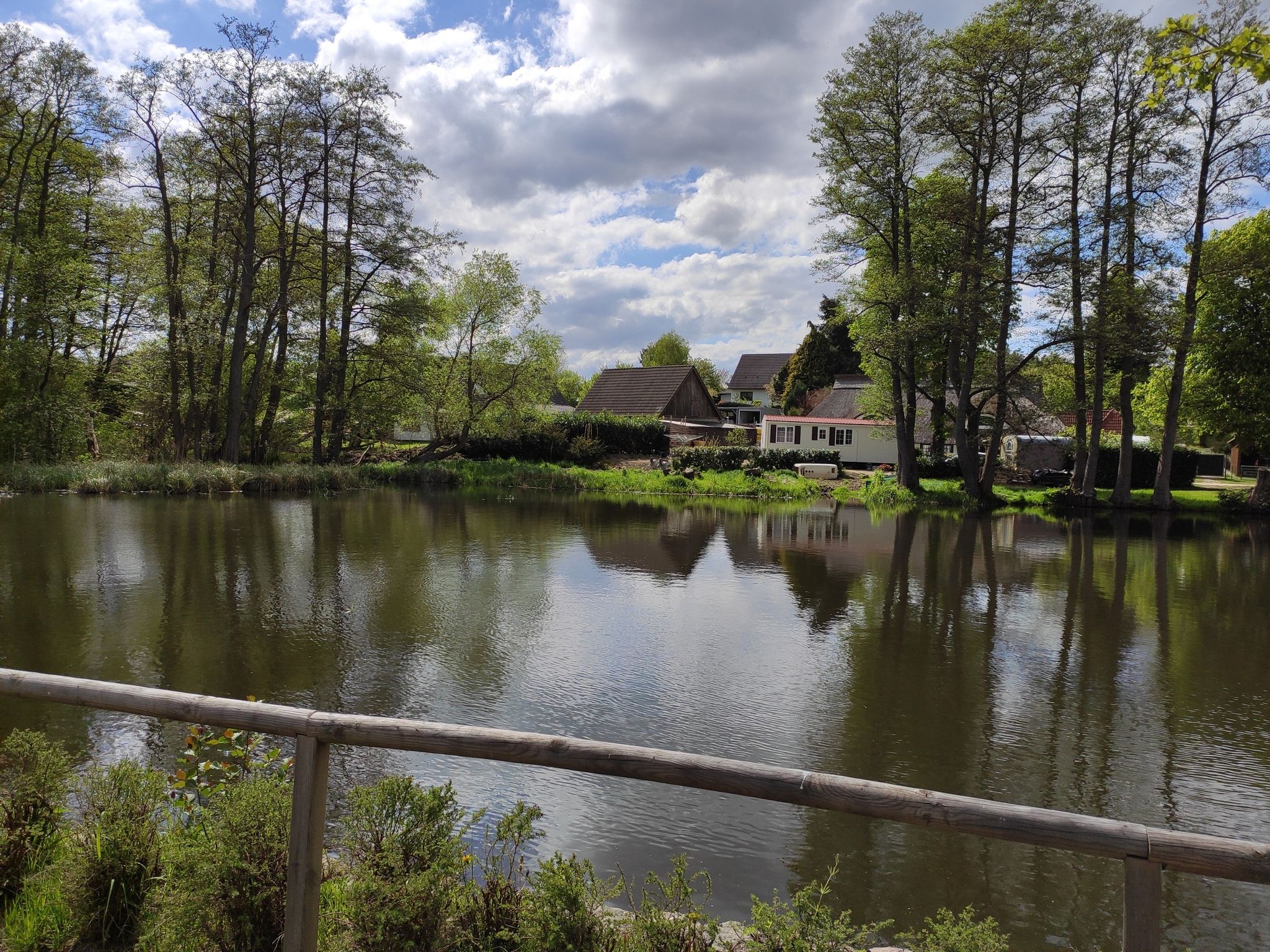 Dieser Teich ....