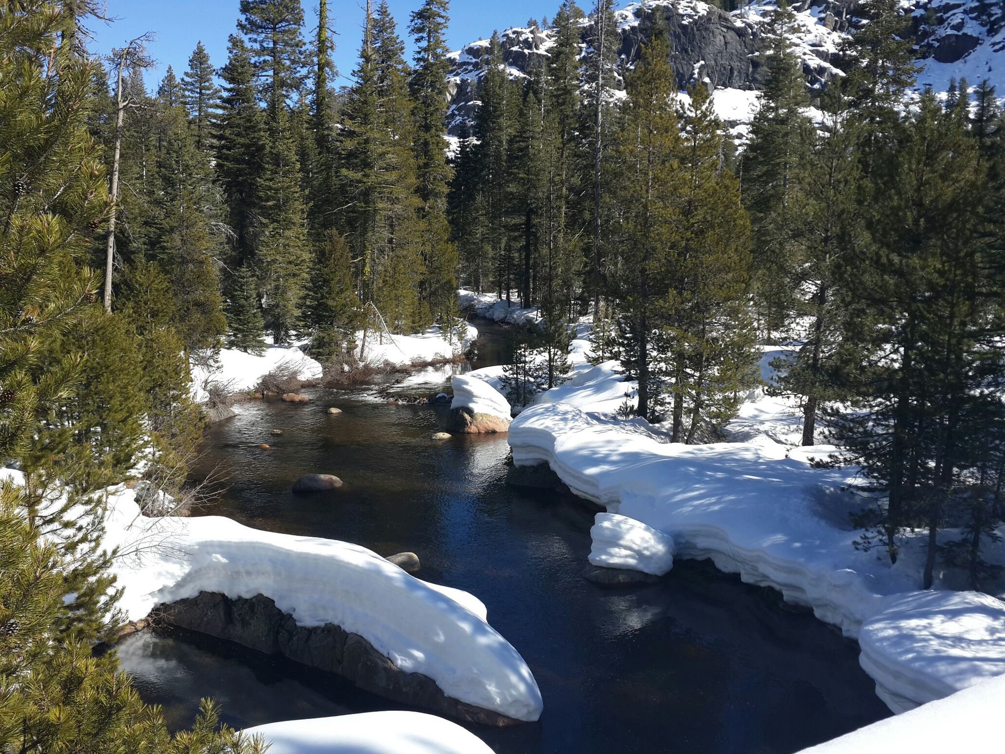 CA, Bear Valley, Spicer Meadow Rd XC skiing