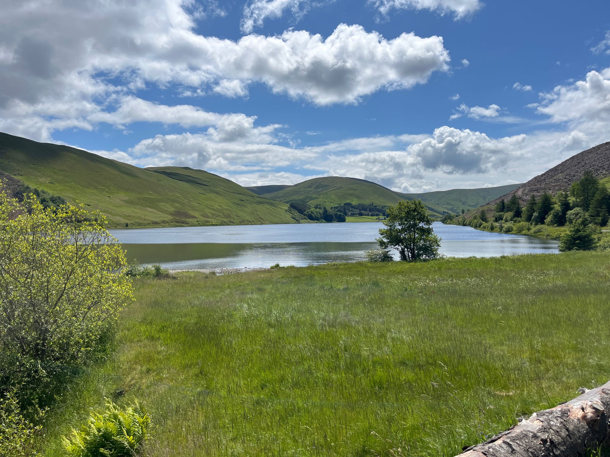 Loch of the Lowes, from the Glen Cafe