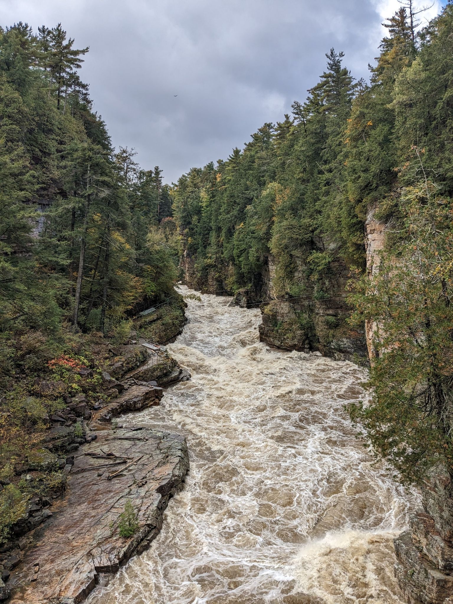 Wide, turbulent brown river flows through a rocky gorge with dense green trees. - Dry Chasm Trail