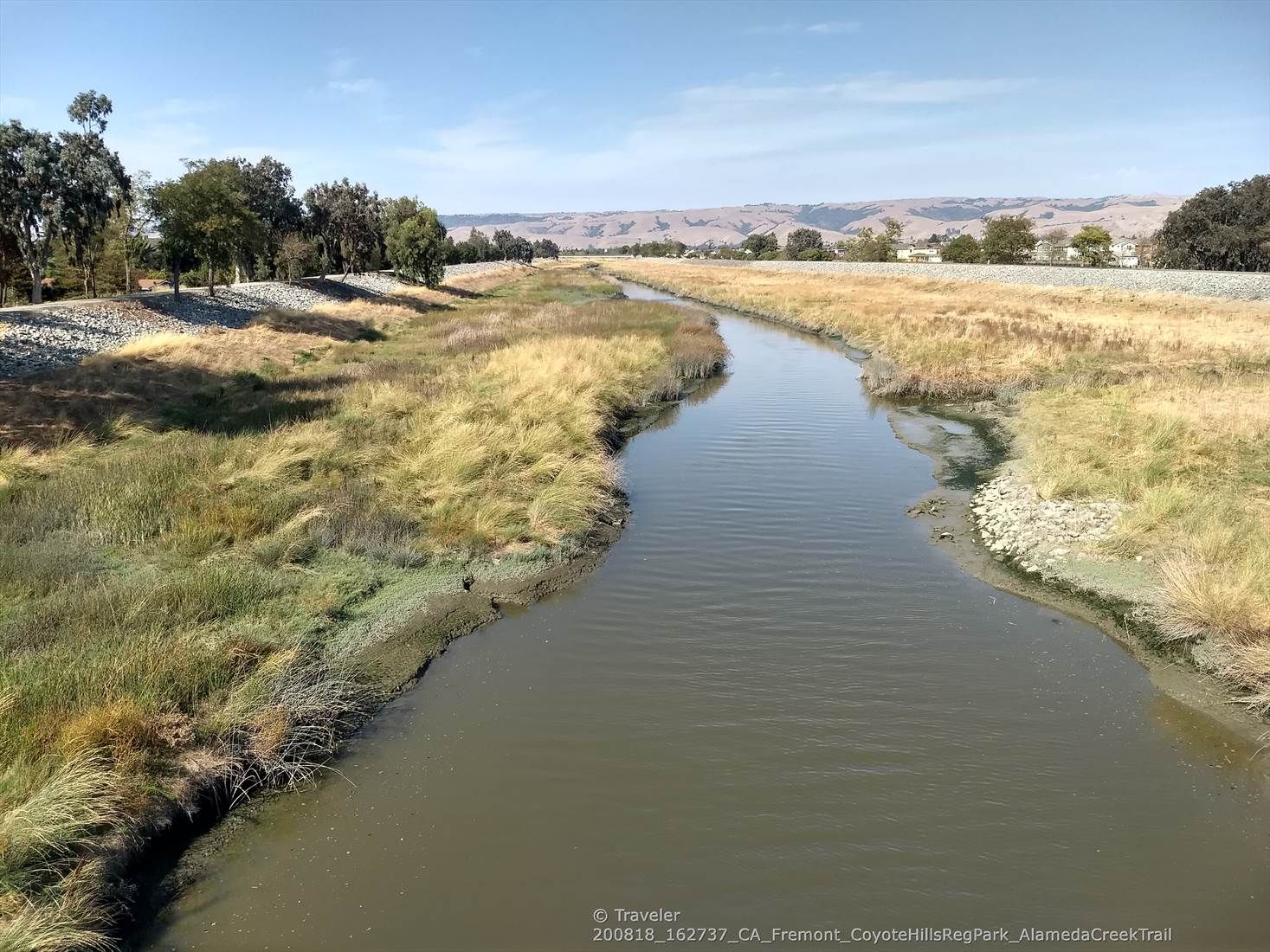 A winding river flows through grassy banks under a bright sky. - Alameda Creek Trail Loop