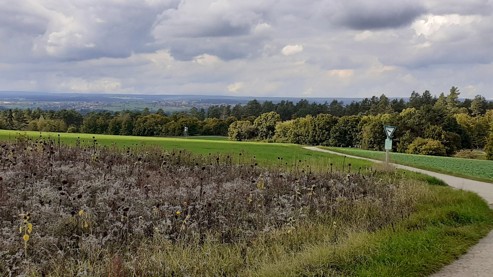 Blick Holzbronn