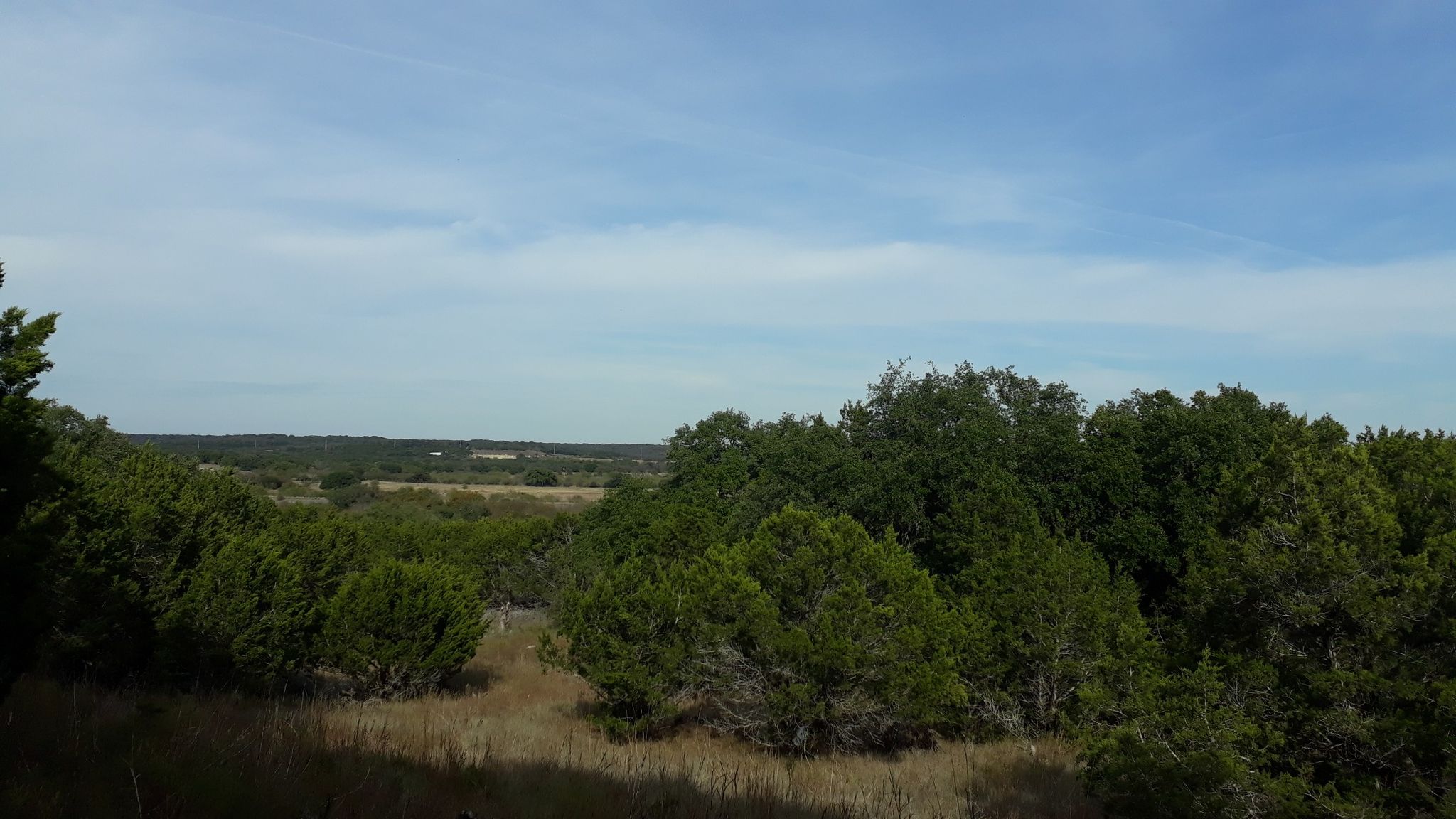 Panoramic view of a wooded landscape with distant fields under a blue sky. - Blue Stem Loop
