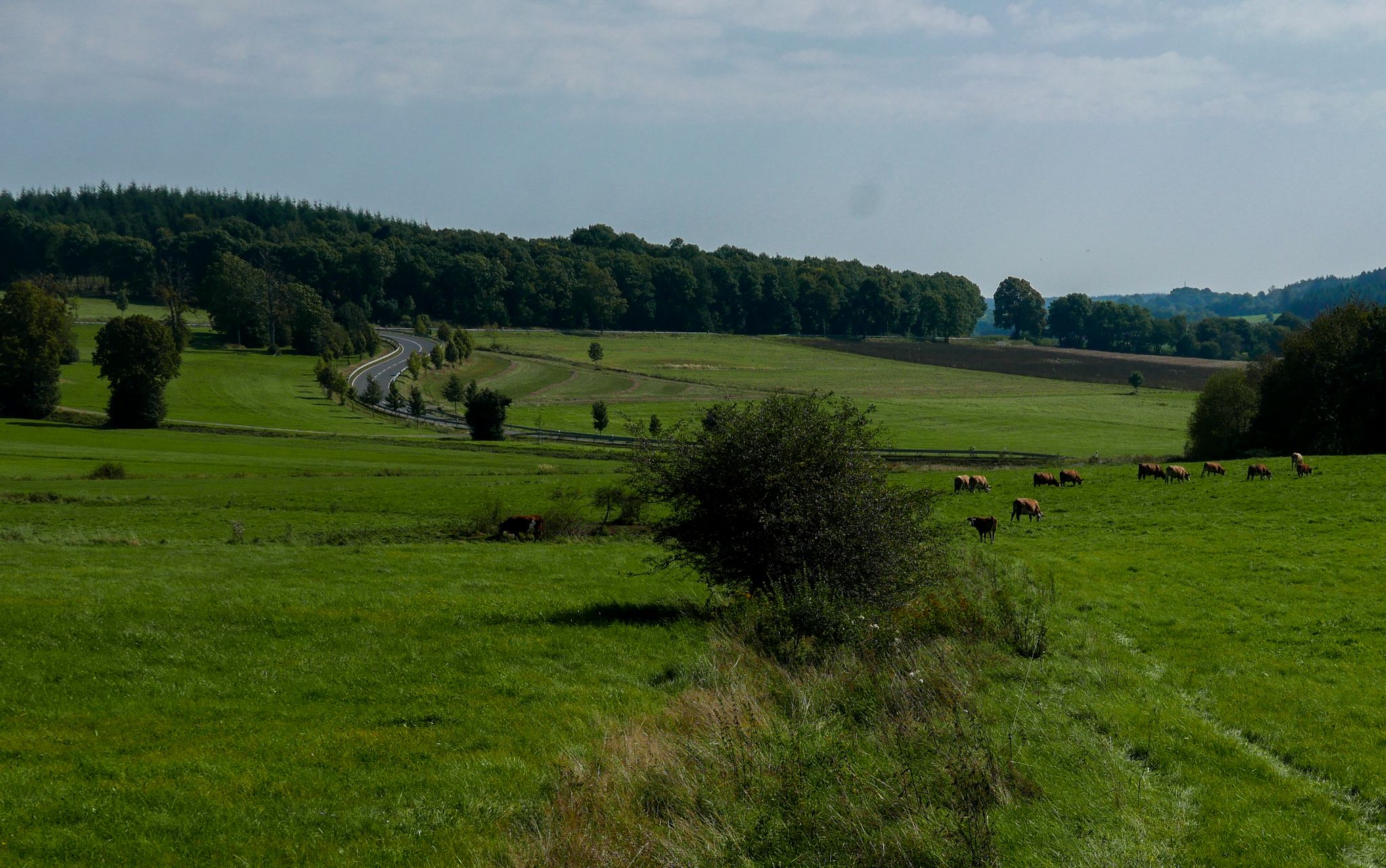 on the Road