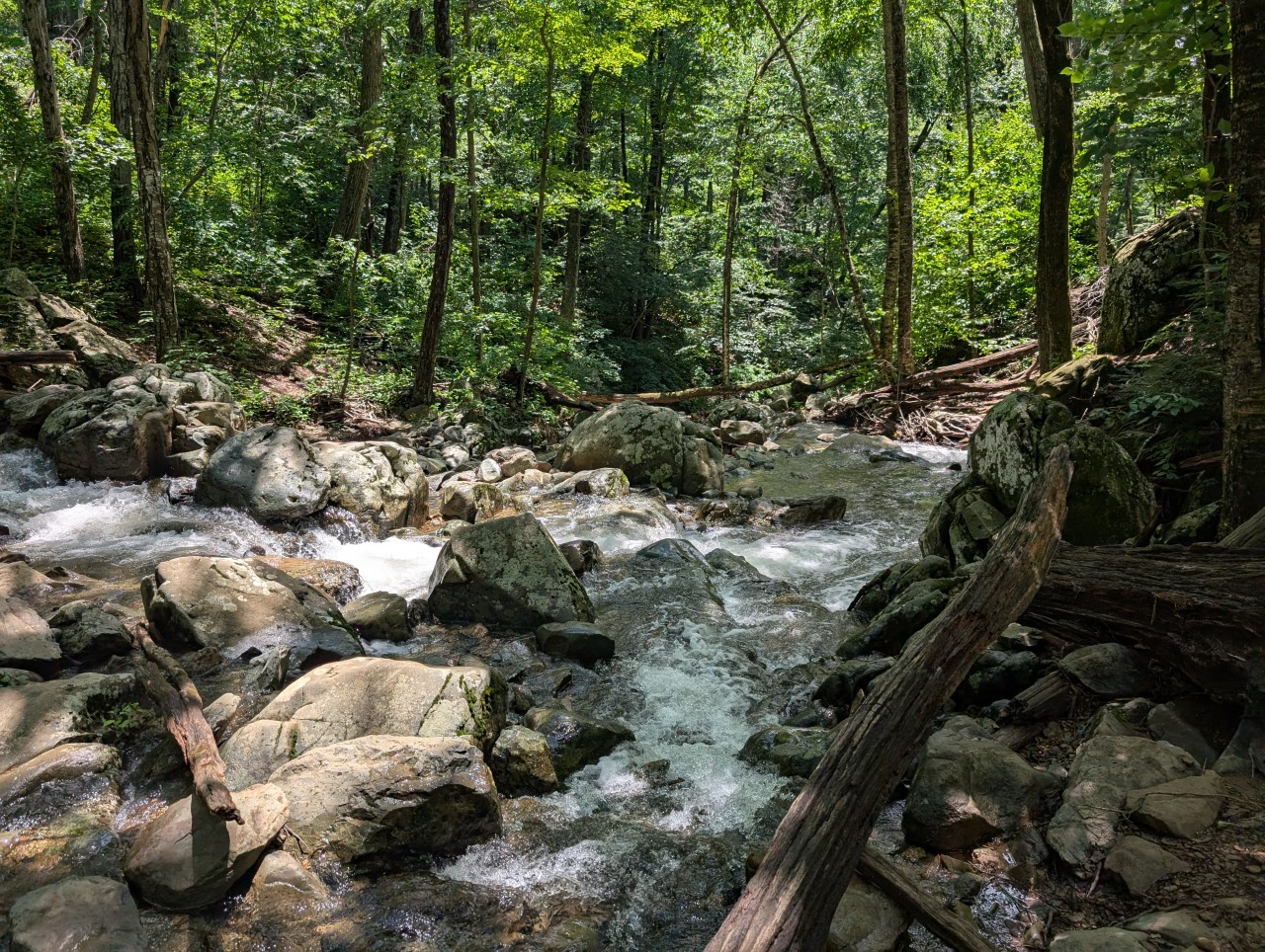 Sunlit rocky stream with white rapids flowing through a vibrant green forest. - Rose River Trail